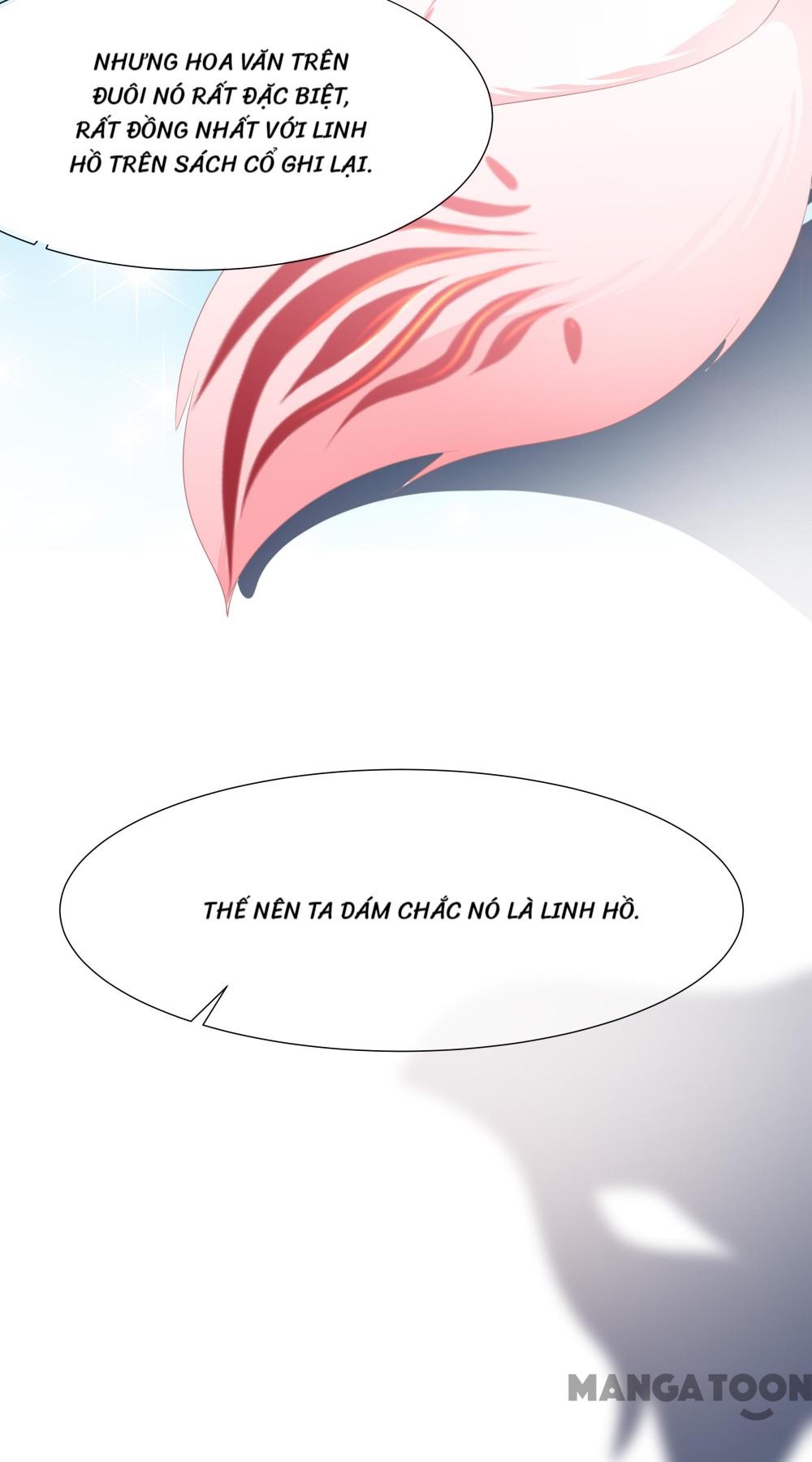 Hồ Phi Chớ Dây Vào Lửa Chapter 3 - Trang 21