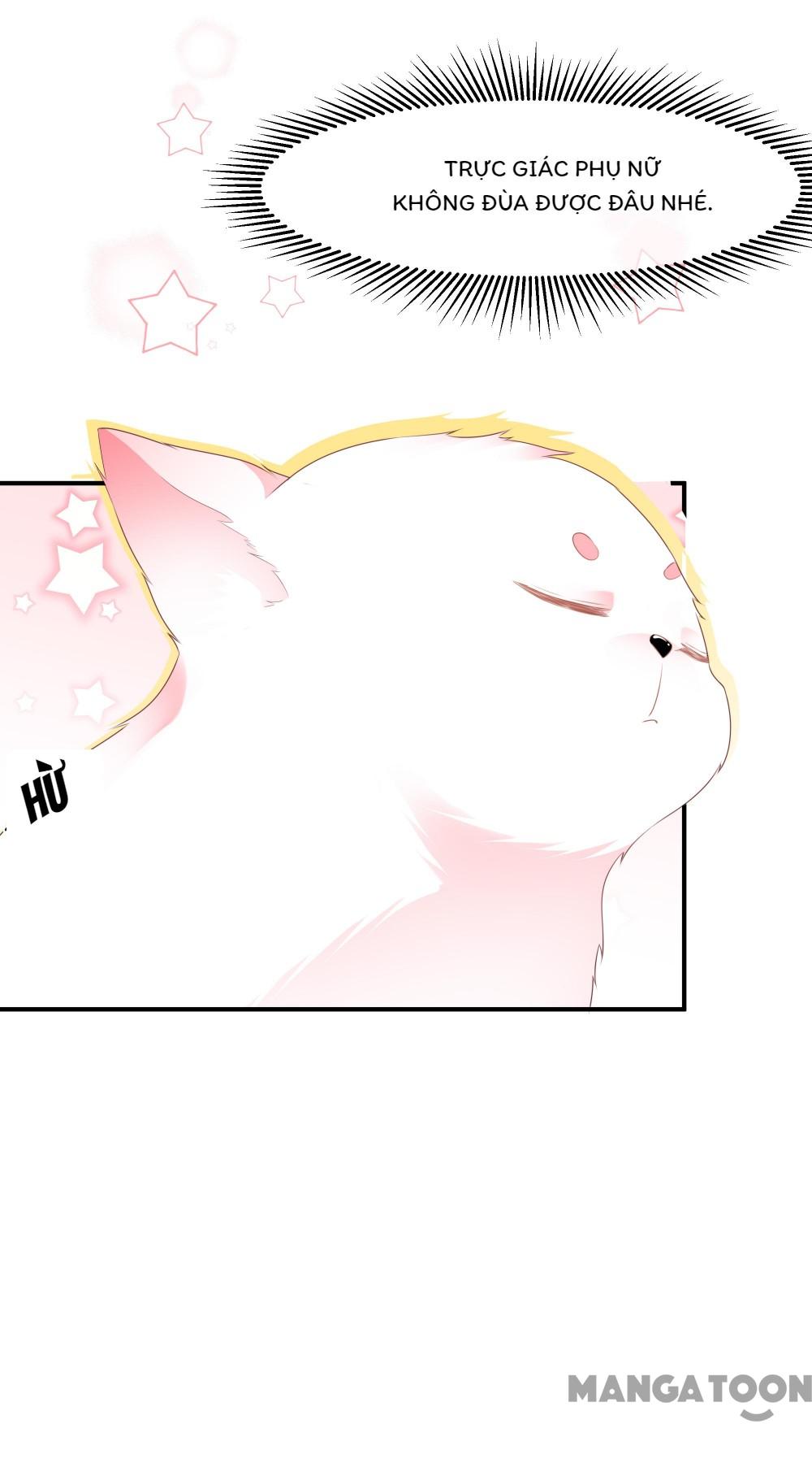 Hồ Phi Chớ Dây Vào Lửa Chapter 3 - Trang 9