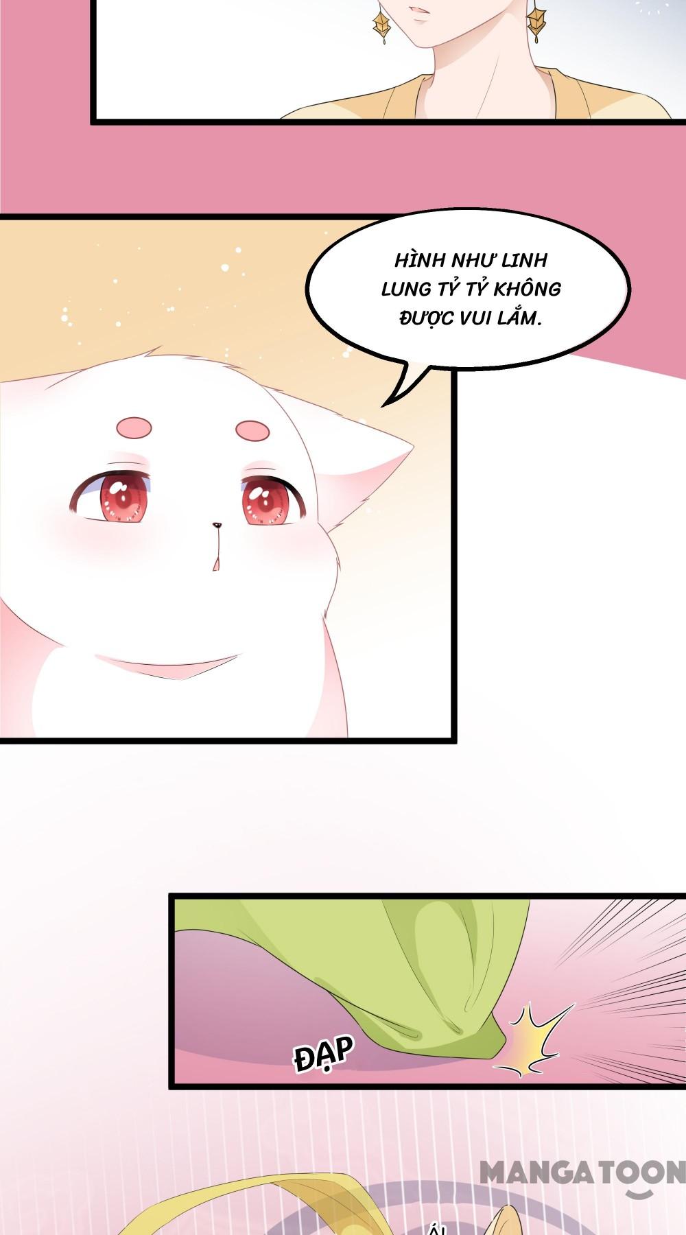 Hồ Phi Chớ Dây Vào Lửa Chapter 31 - Trang 22