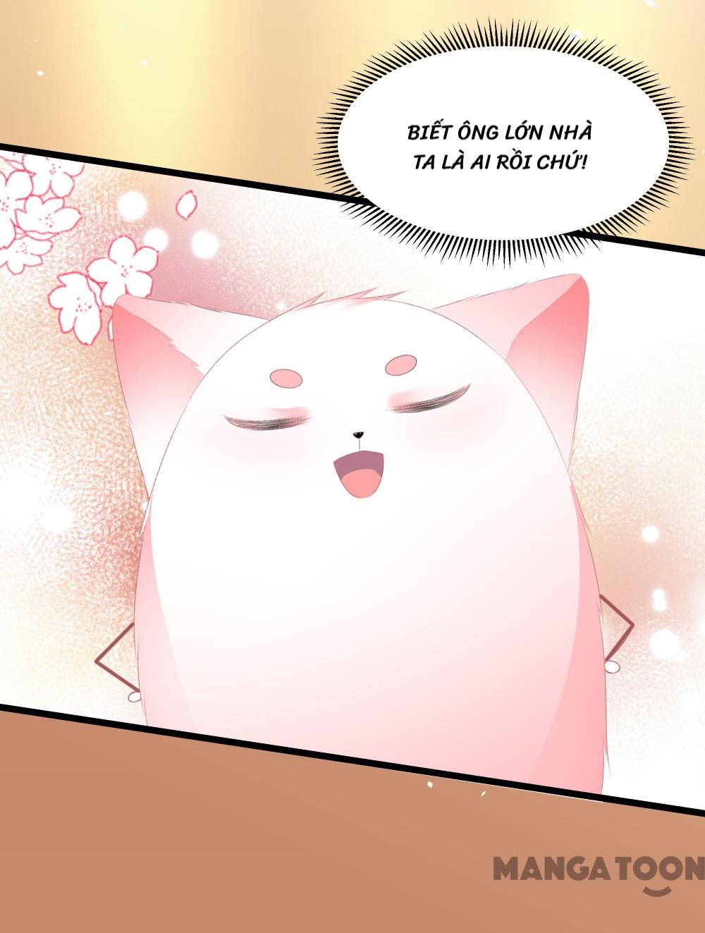 Hồ Phi Chớ Dây Vào Lửa Chapter 31 - Trang 7