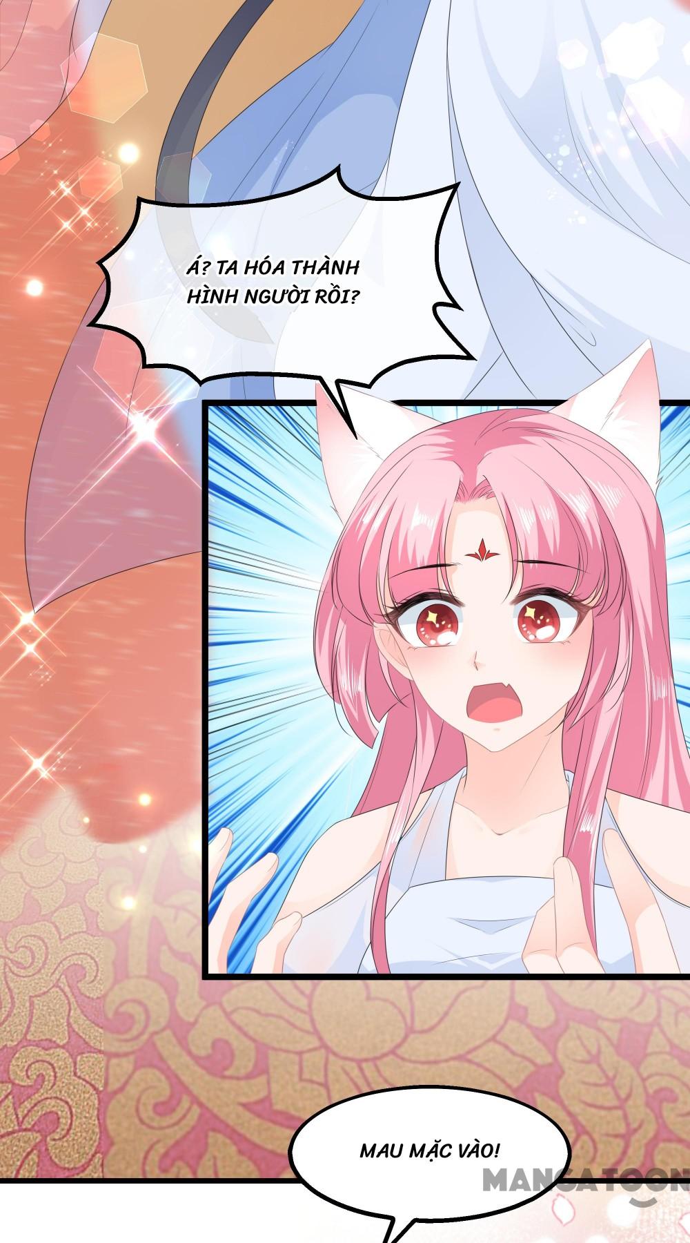 Hồ Phi Chớ Dây Vào Lửa Chapter 33 - Trang 25