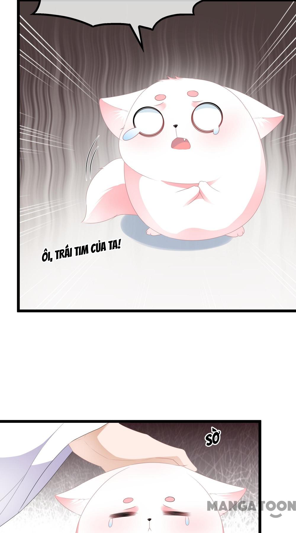 Hồ Phi Chớ Dây Vào Lửa Chapter 33 - Trang 4