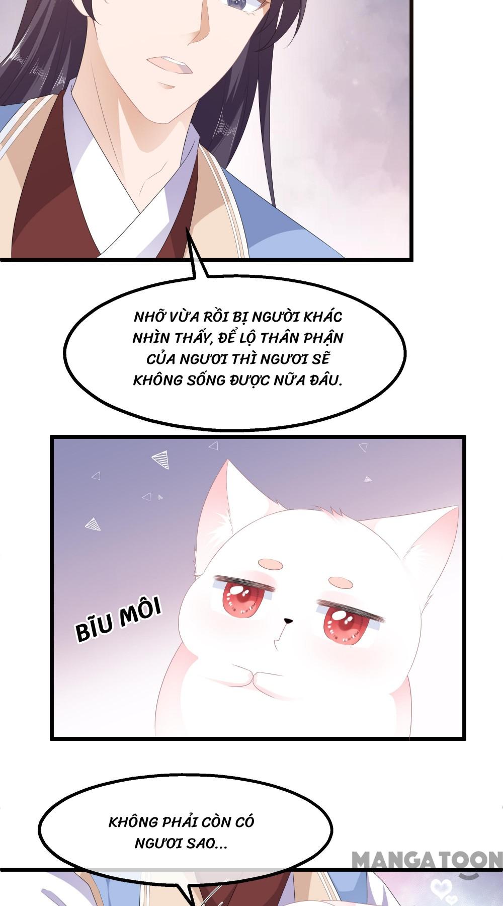 Hồ Phi Chớ Dây Vào Lửa Chapter 34 - Trang 28
