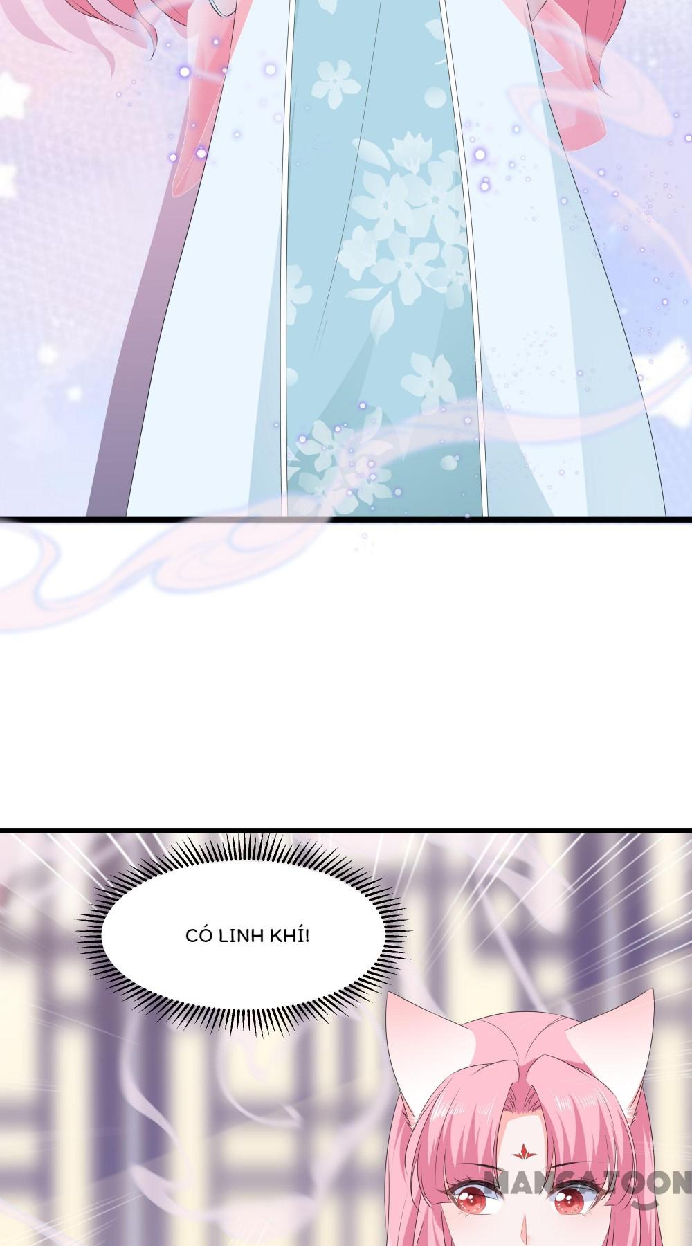 Hồ Phi Chớ Dây Vào Lửa Chapter 35 - Trang 13