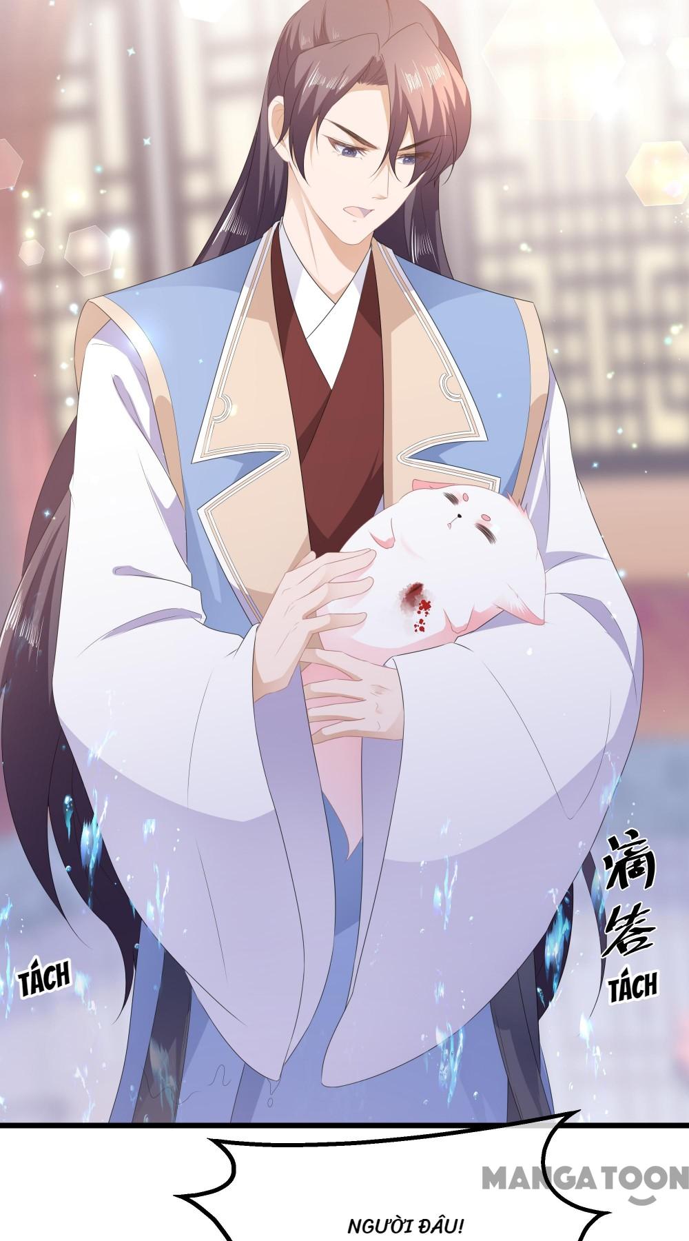 Hồ Phi Chớ Dây Vào Lửa Chapter 36 - Trang 7