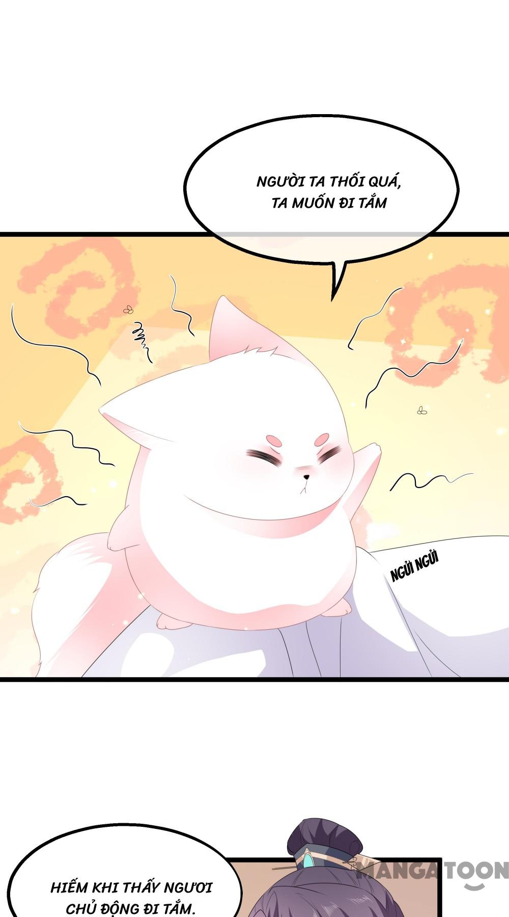 Hồ Phi Chớ Dây Vào Lửa Chapter 38 - Trang 10