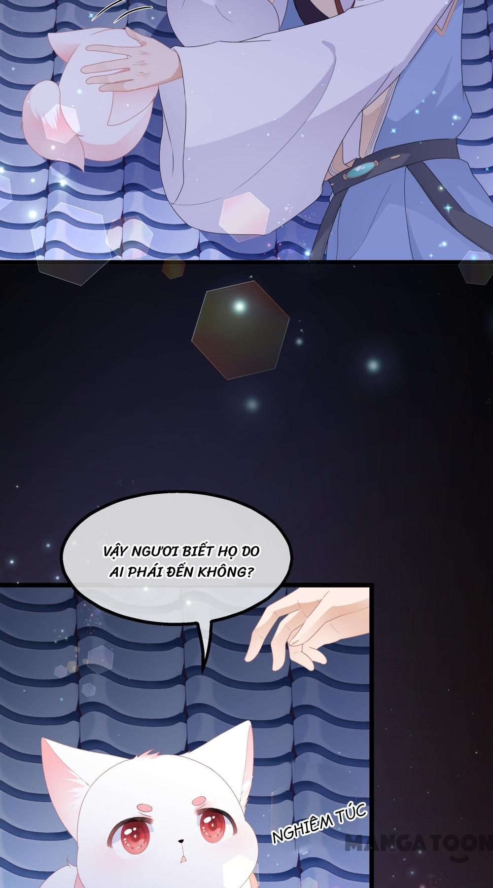 Hồ Phi Chớ Dây Vào Lửa Chapter 38 - Trang 32