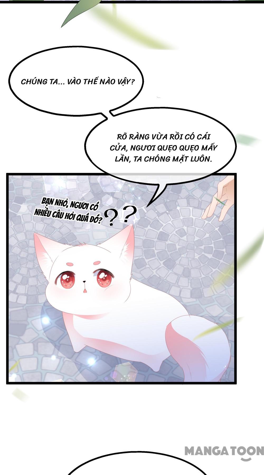 Hồ Phi Chớ Dây Vào Lửa Chapter 39 - Trang 24