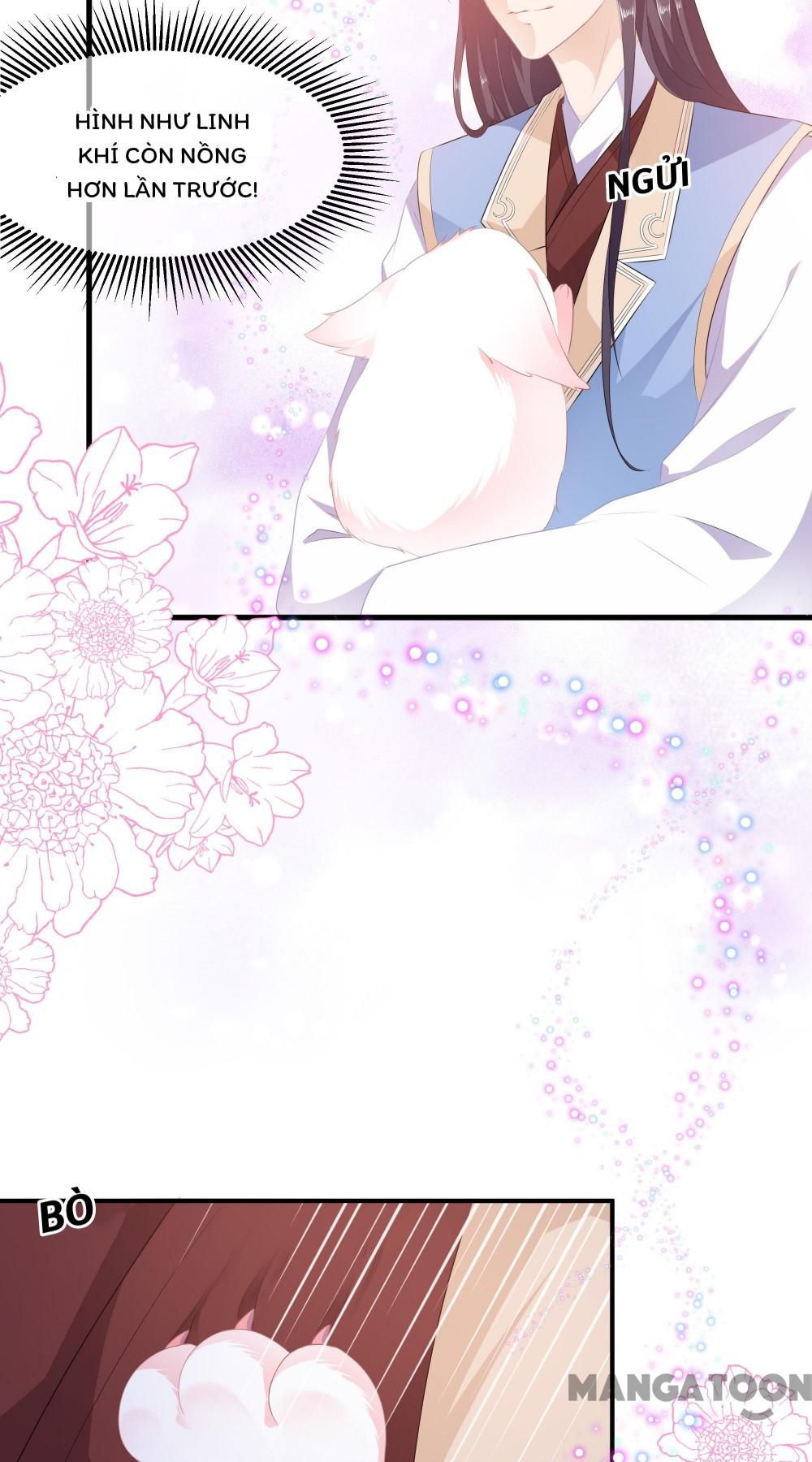 Hồ Phi Chớ Dây Vào Lửa Chapter 4 - Trang 10