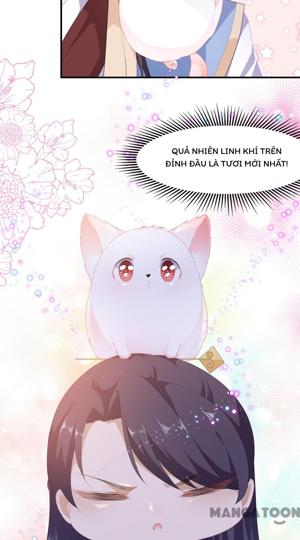 Hồ Phi Chớ Dây Vào Lửa Chapter 4 - Trang 12