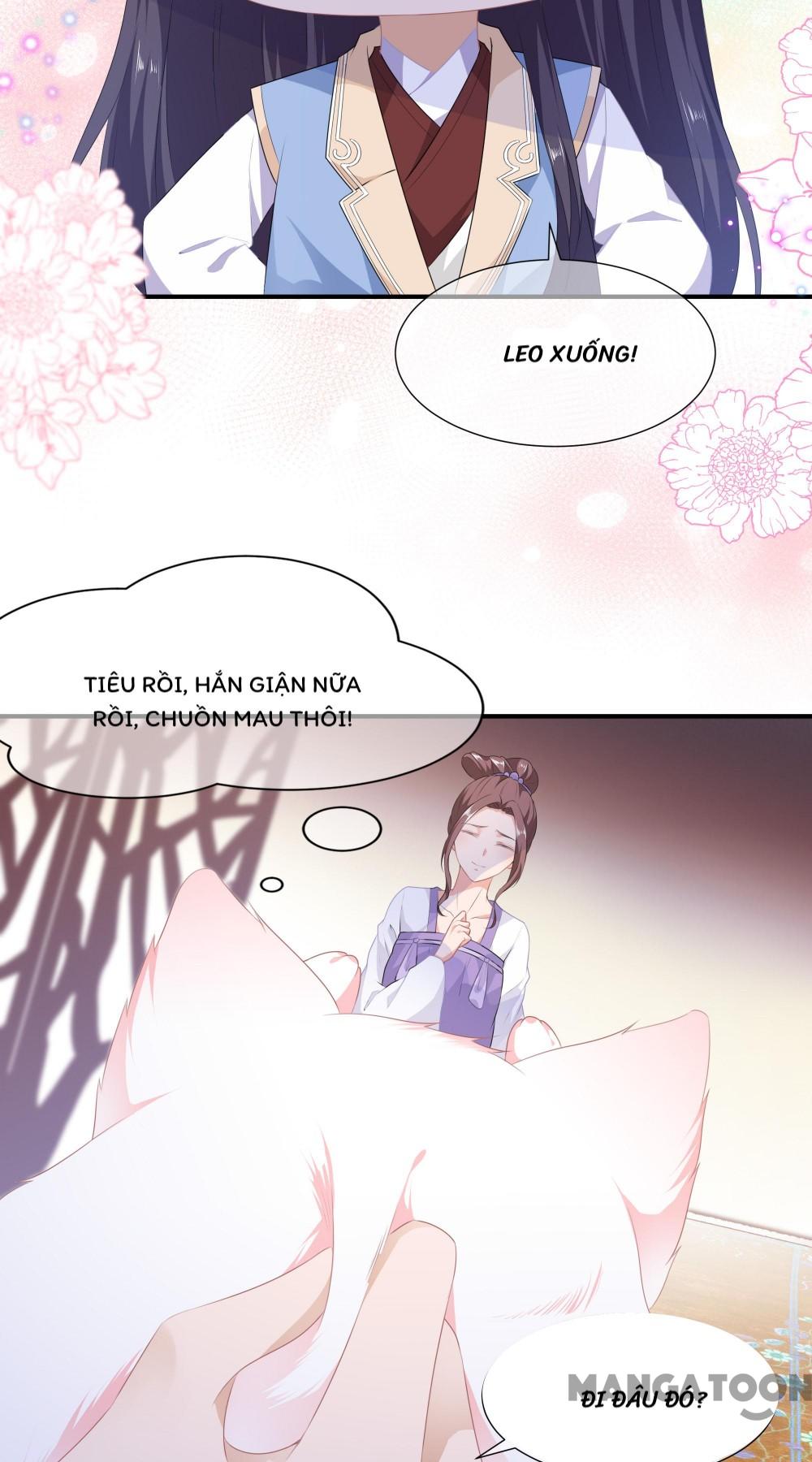 Hồ Phi Chớ Dây Vào Lửa Chapter 4 - Trang 13