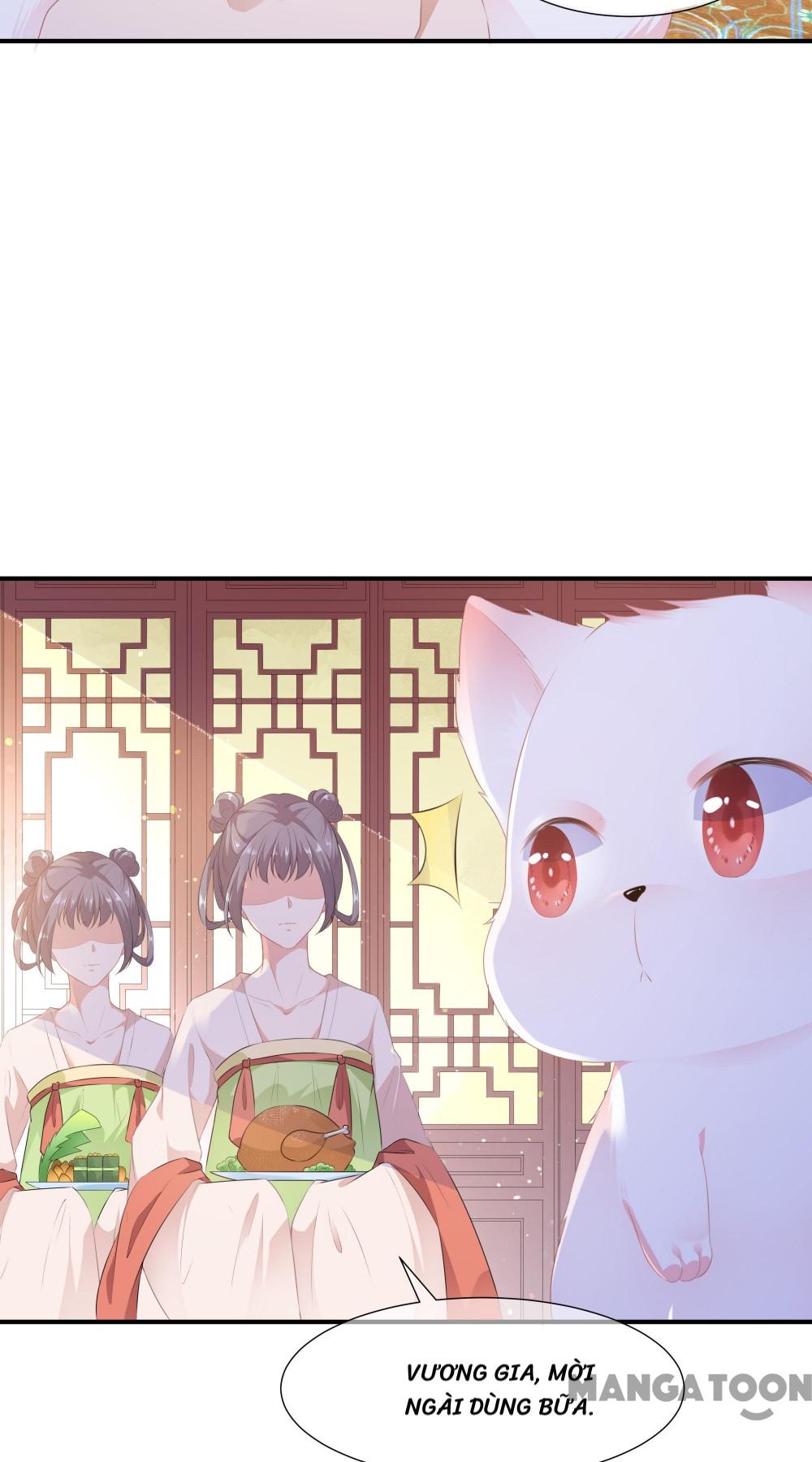 Hồ Phi Chớ Dây Vào Lửa Chapter 4 - Trang 14