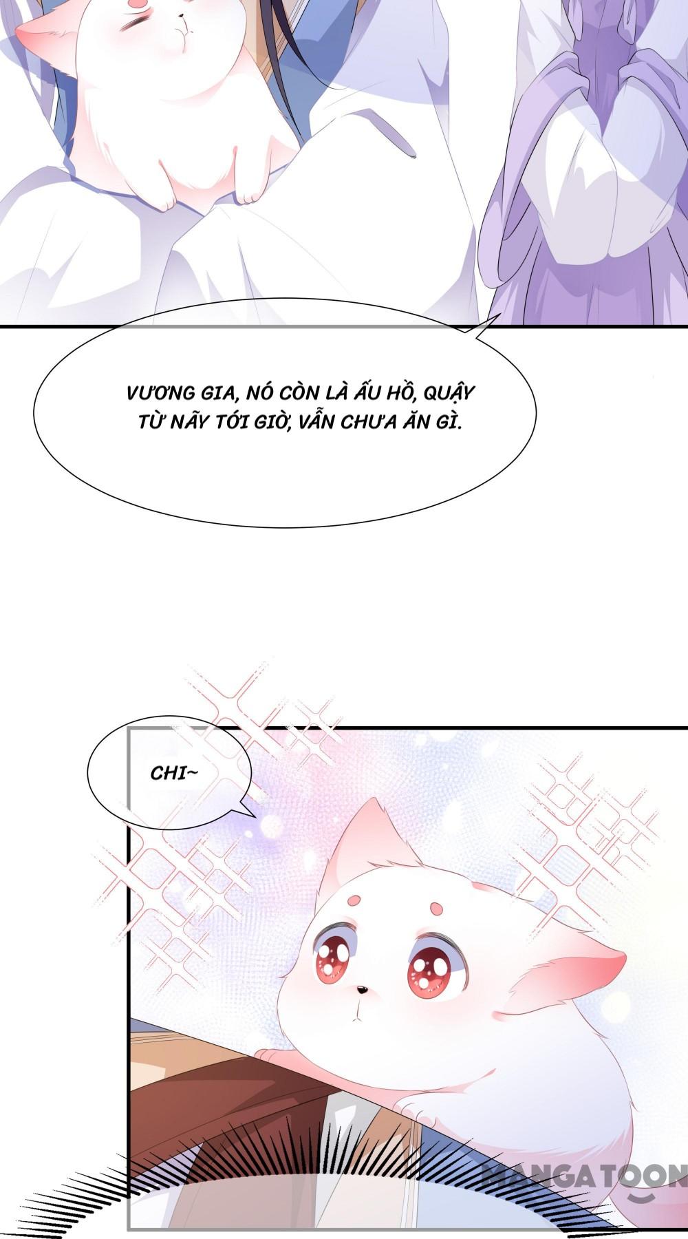 Hồ Phi Chớ Dây Vào Lửa Chapter 4 - Trang 20