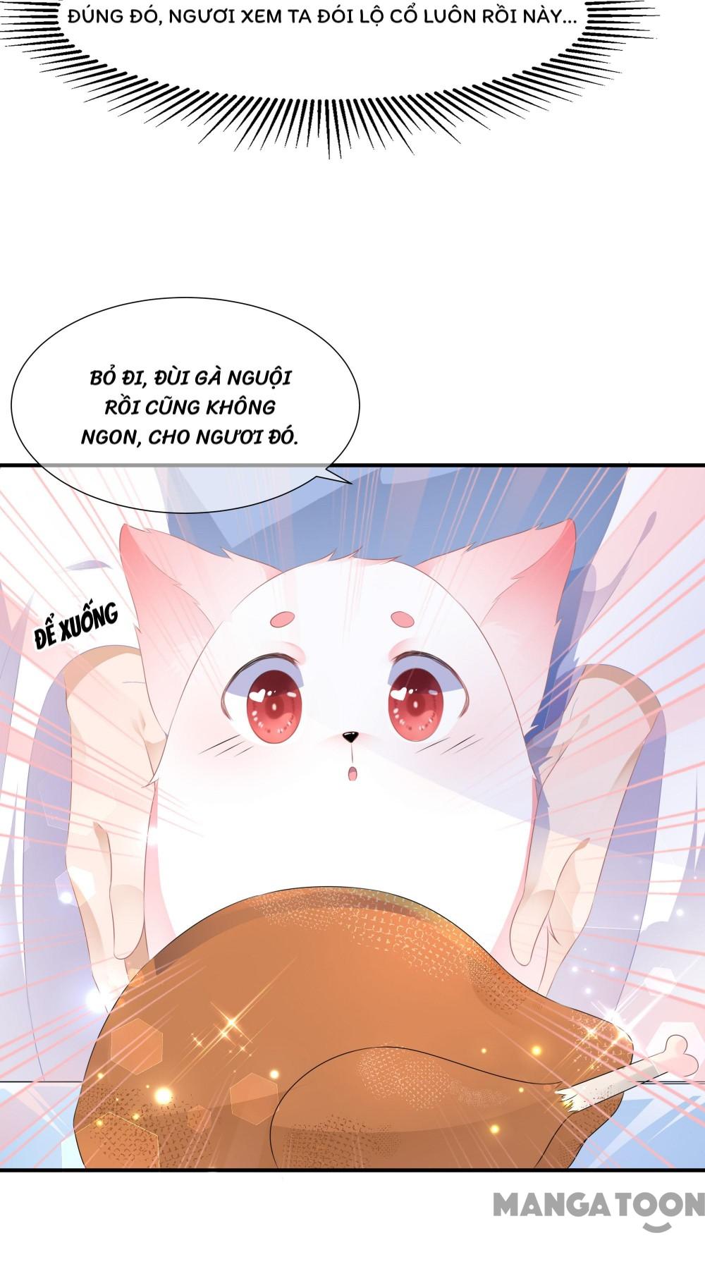Hồ Phi Chớ Dây Vào Lửa Chapter 4 - Trang 21