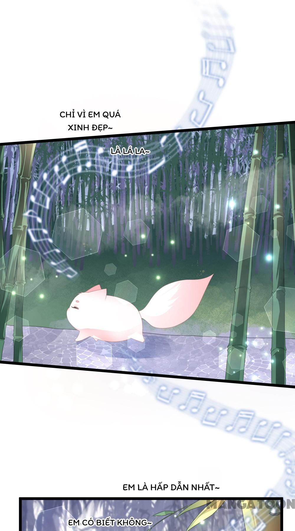 Hồ Phi Chớ Dây Vào Lửa Chapter 40 - Trang 10