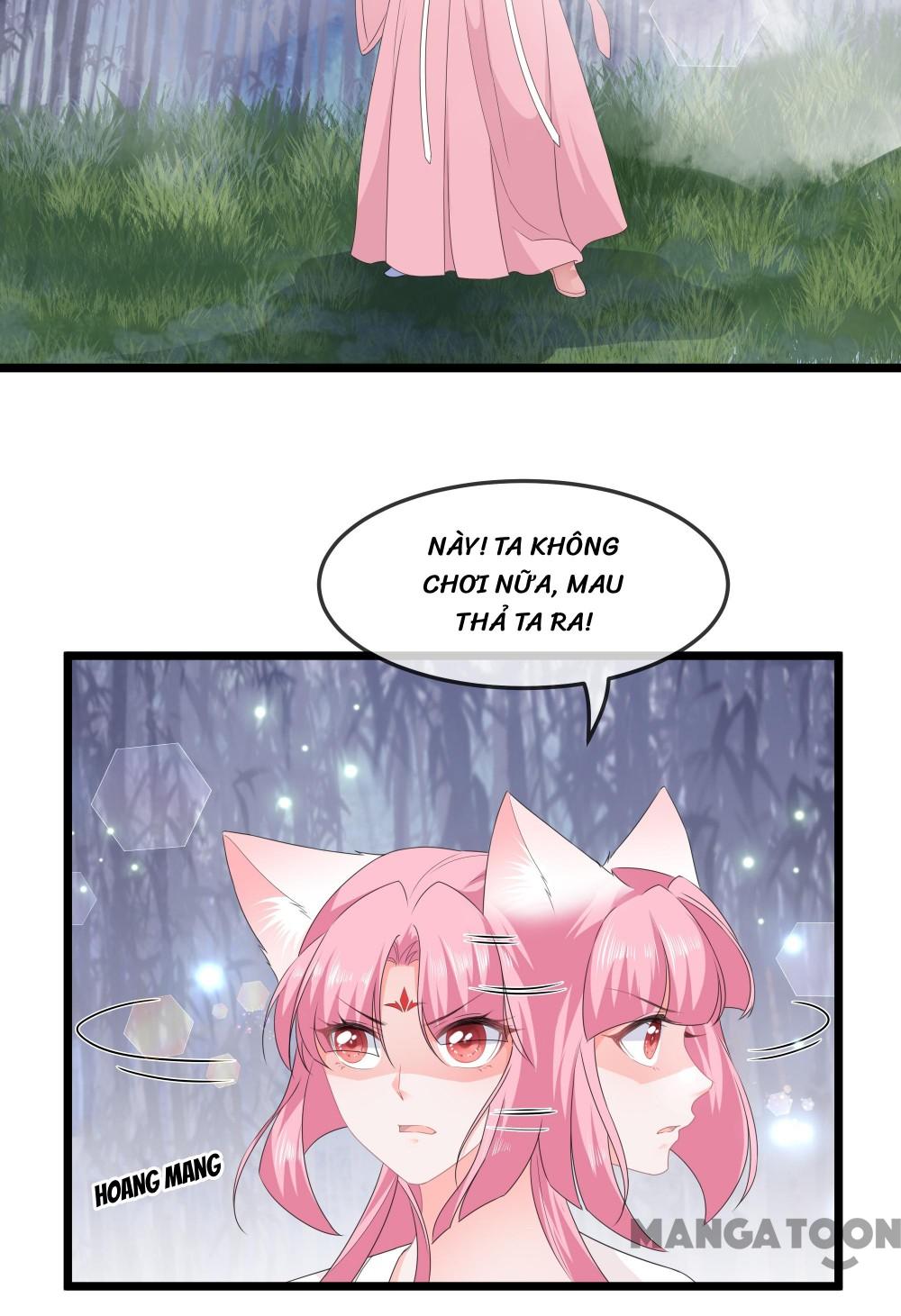 Hồ Phi Chớ Dây Vào Lửa Chapter 40 - Trang 17