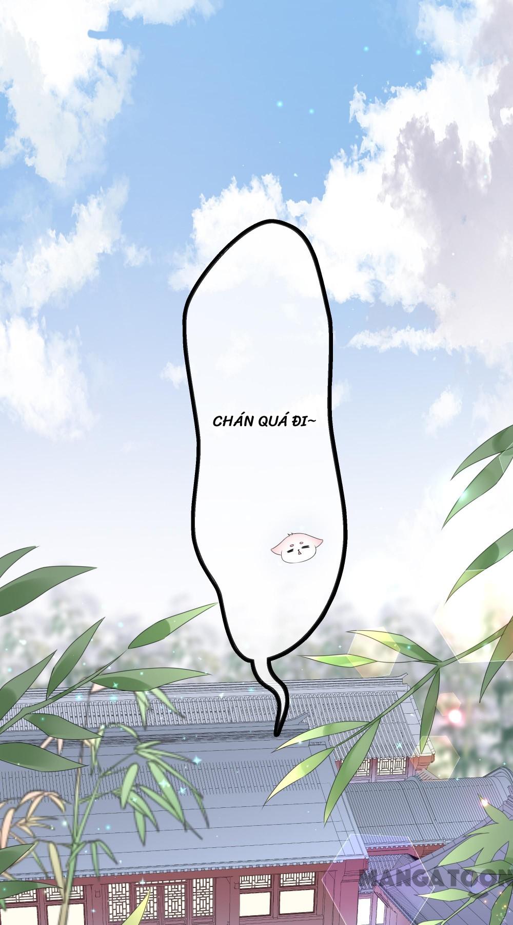 Hồ Phi Chớ Dây Vào Lửa Chapter 40 - Trang 2