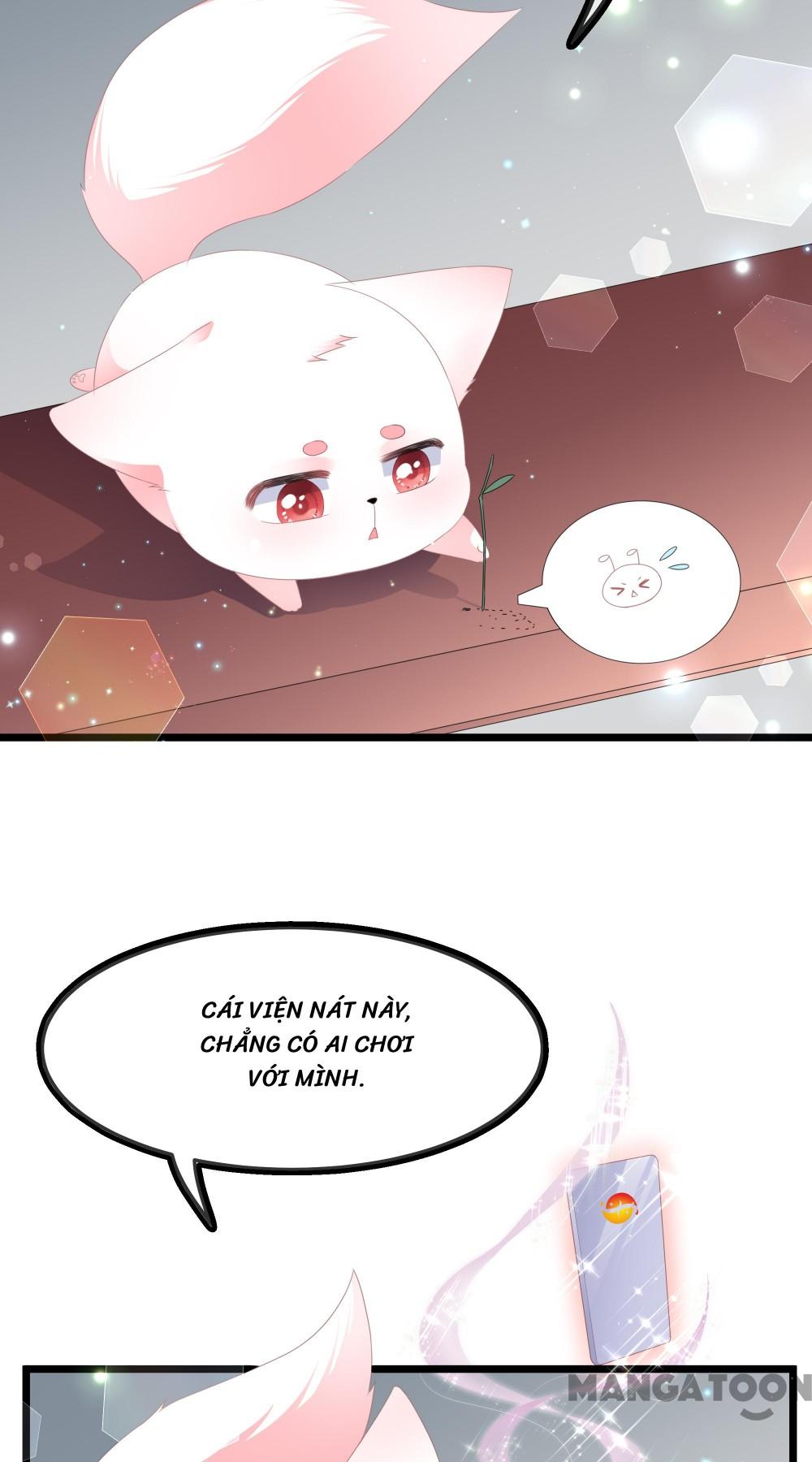 Hồ Phi Chớ Dây Vào Lửa Chapter 40 - Trang 4