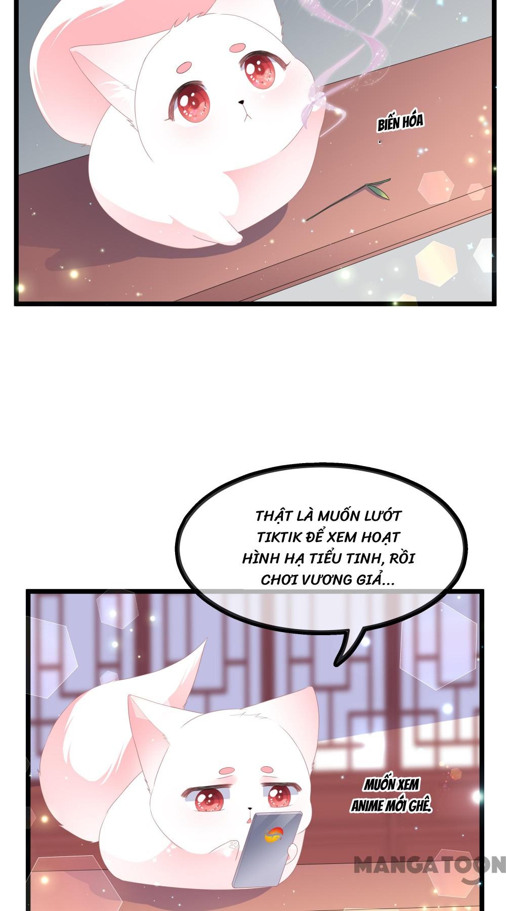 Hồ Phi Chớ Dây Vào Lửa Chapter 40 - Trang 5