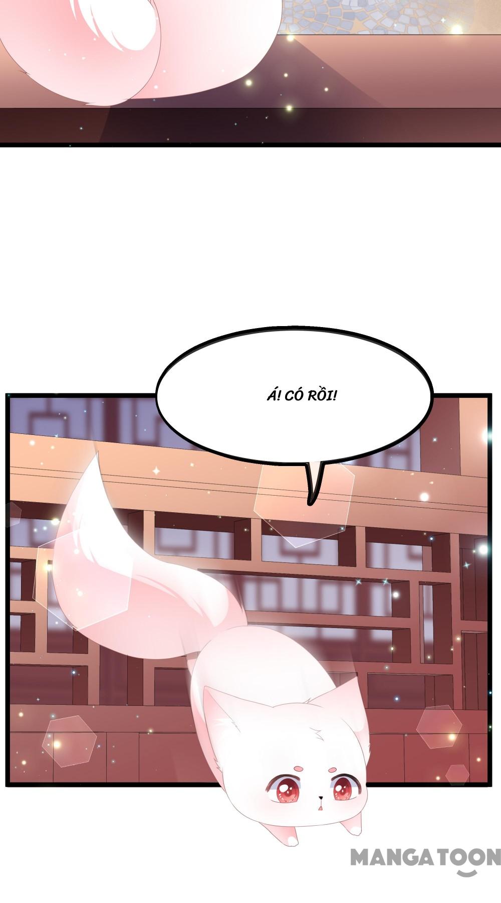 Hồ Phi Chớ Dây Vào Lửa Chapter 40 - Trang 7