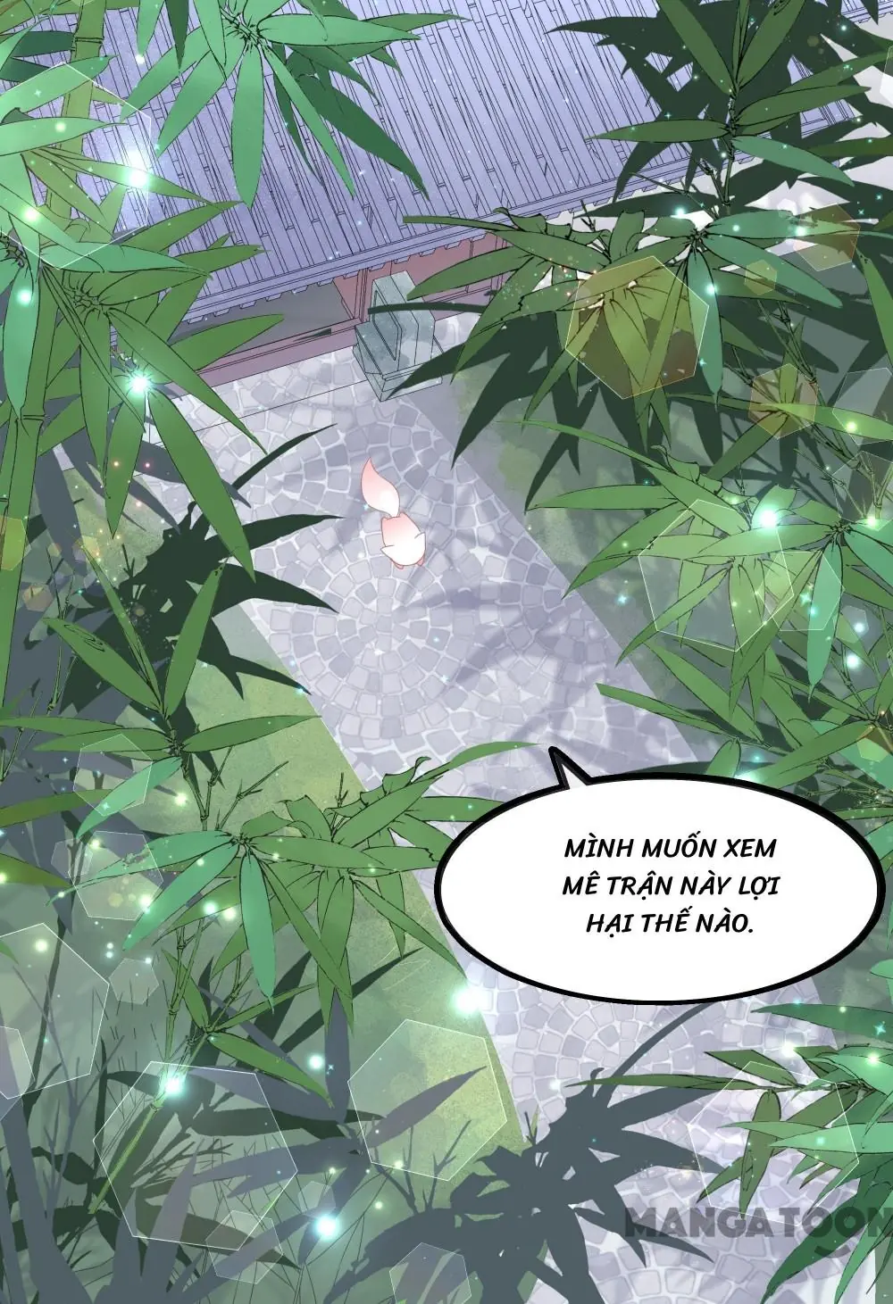 Hồ Phi Chớ Dây Vào Lửa Chapter 40 - Trang 9