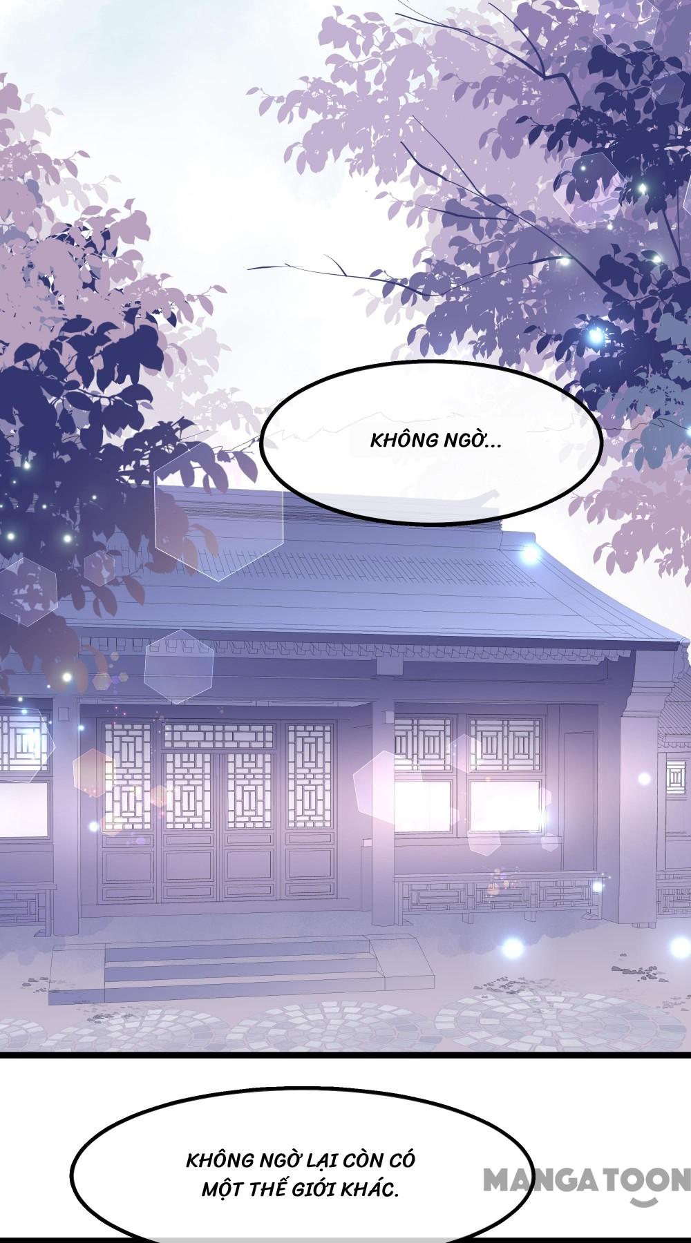 Hồ Phi Chớ Dây Vào Lửa Chapter 41 - Trang 2