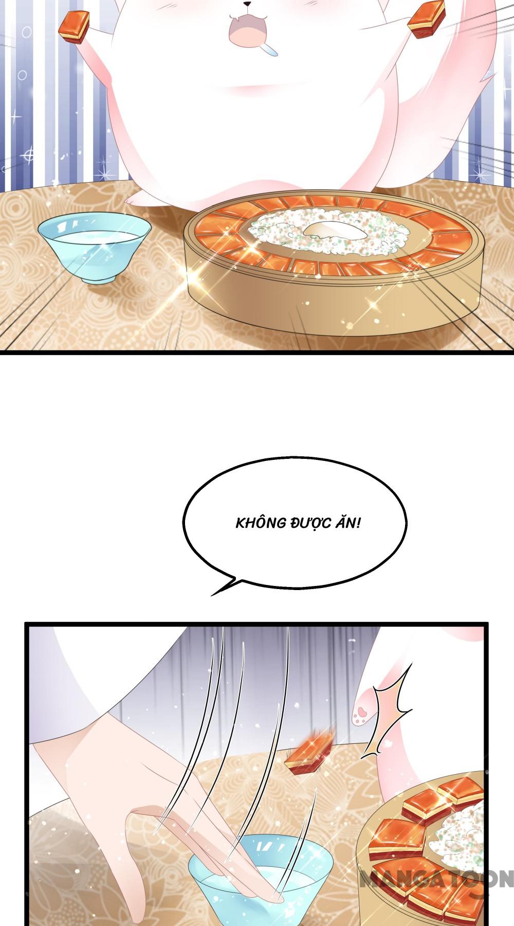 Hồ Phi Chớ Dây Vào Lửa Chapter 45 - Trang 17