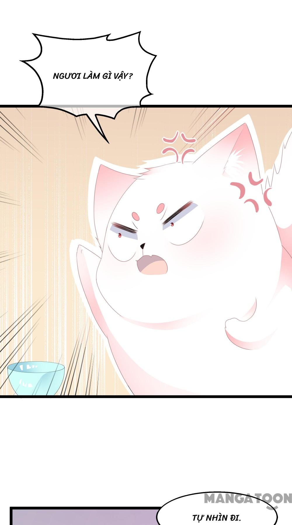 Hồ Phi Chớ Dây Vào Lửa Chapter 45 - Trang 19