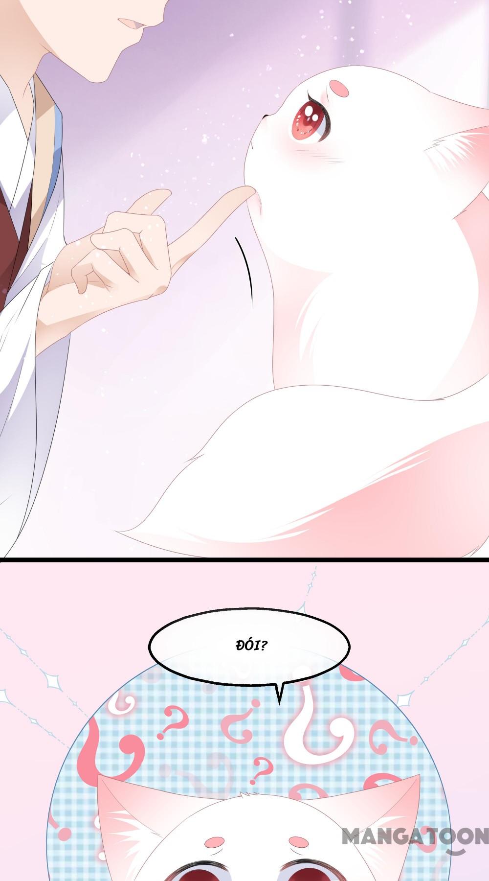 Hồ Phi Chớ Dây Vào Lửa Chapter 45 - Trang 23