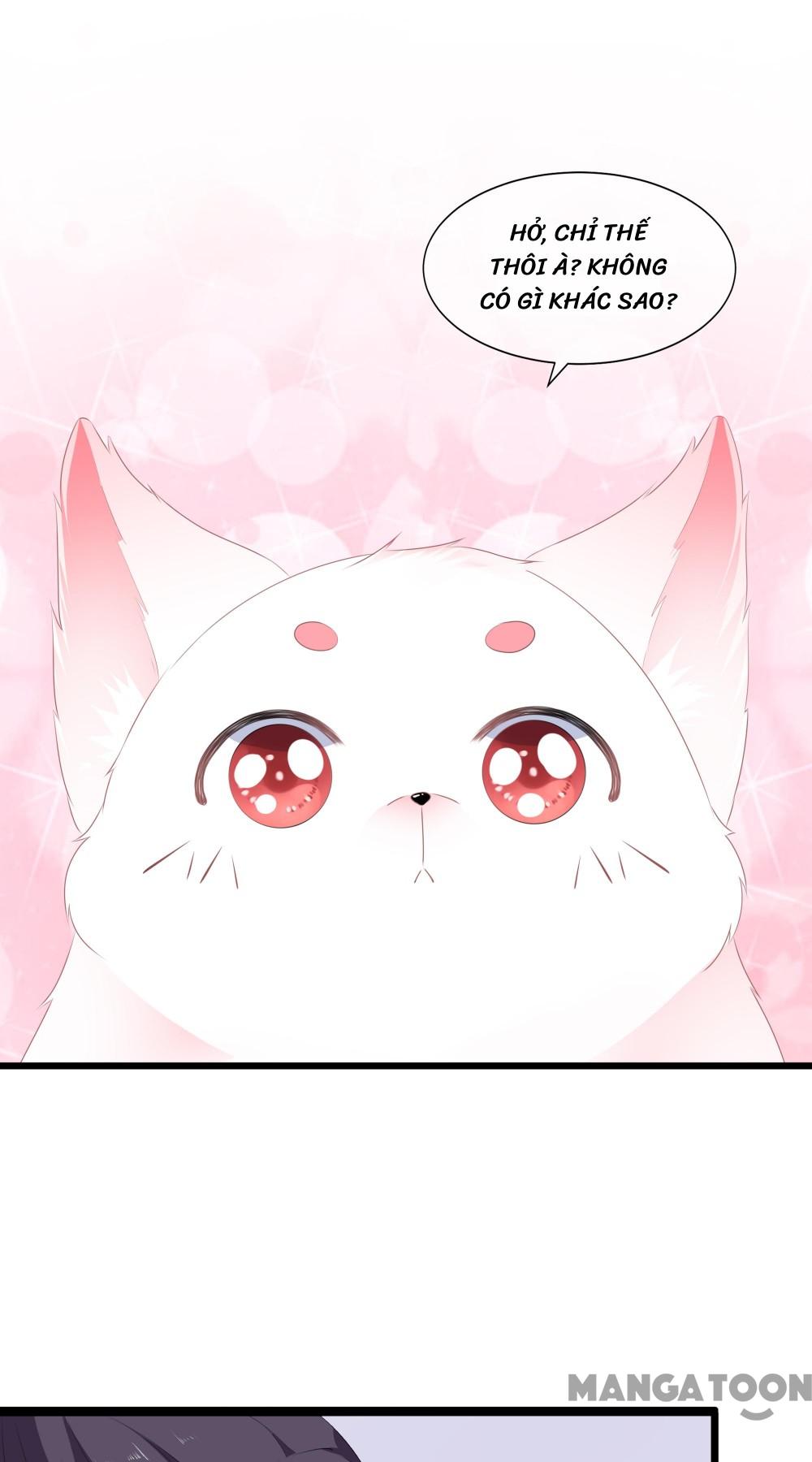 Hồ Phi Chớ Dây Vào Lửa Chapter 45 - Trang 27