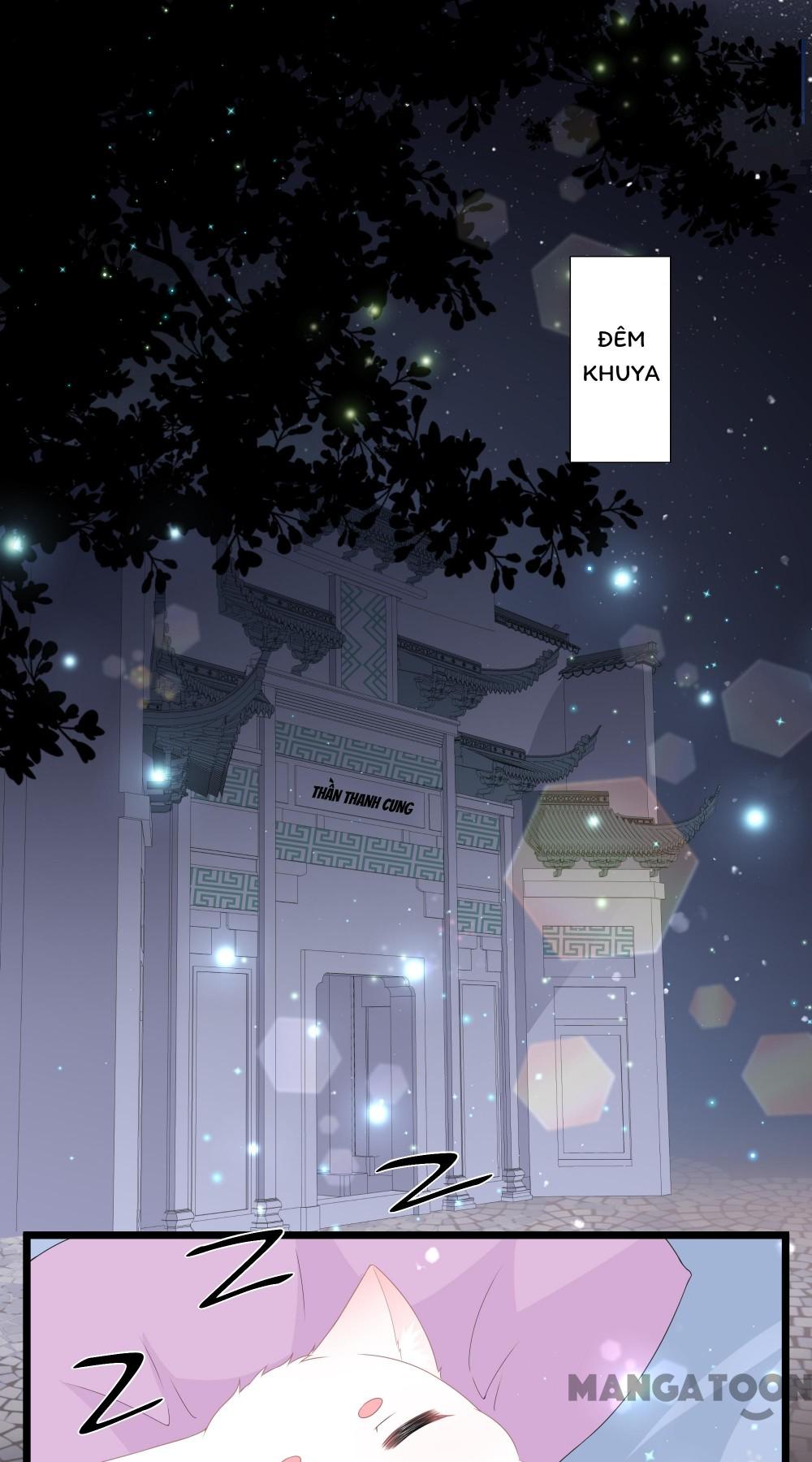 Hồ Phi Chớ Dây Vào Lửa Chapter 46 - Trang 2