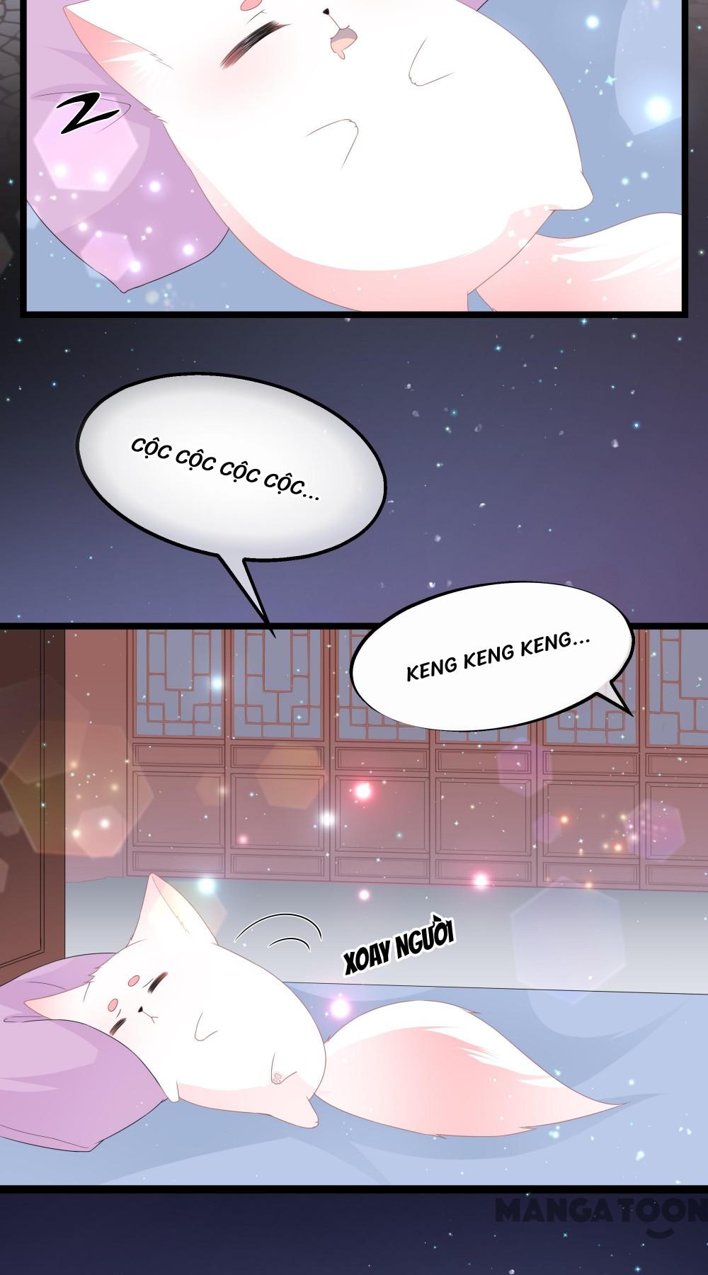 Hồ Phi Chớ Dây Vào Lửa Chapter 46 - Trang 3