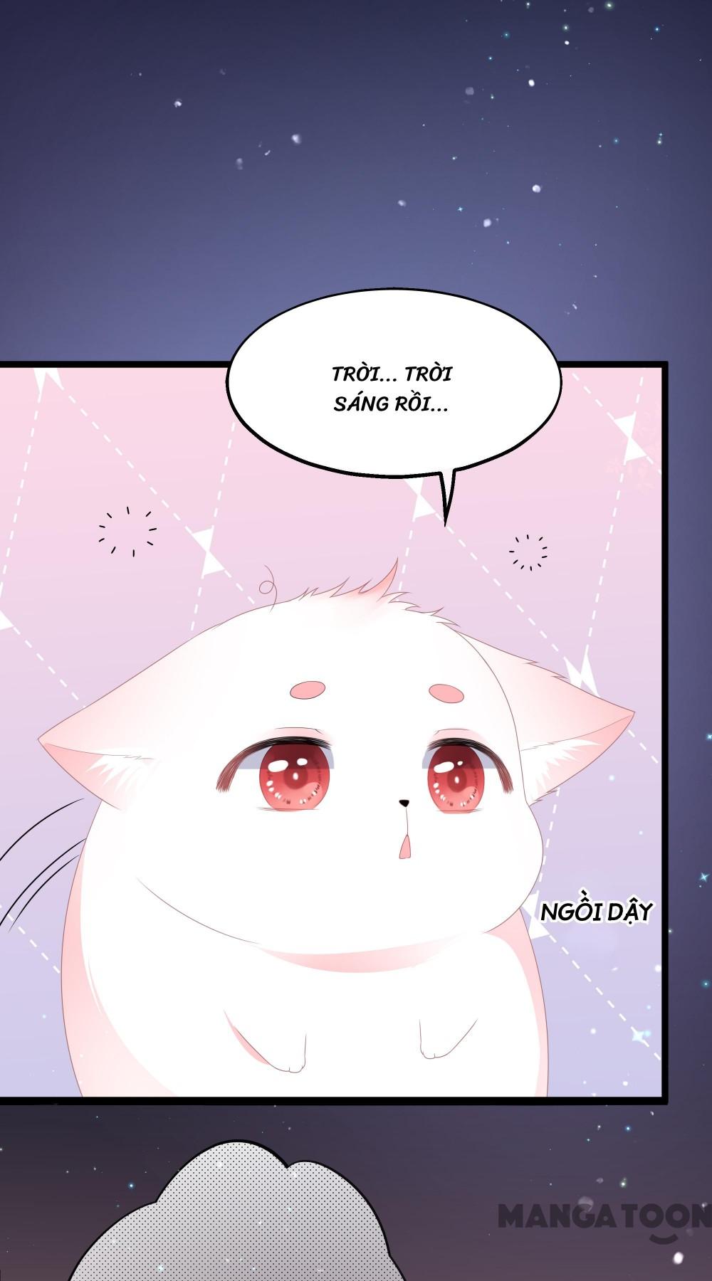 Hồ Phi Chớ Dây Vào Lửa Chapter 46 - Trang 4