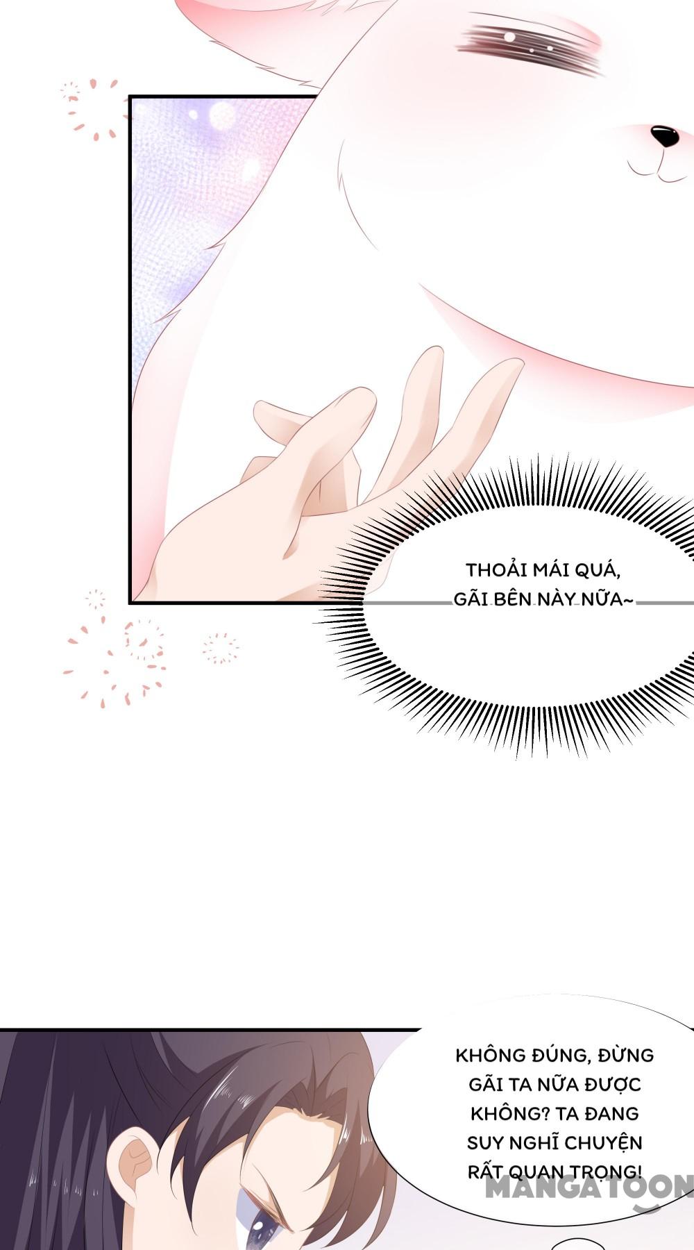 Hồ Phi Chớ Dây Vào Lửa Chapter 5 - Trang 11