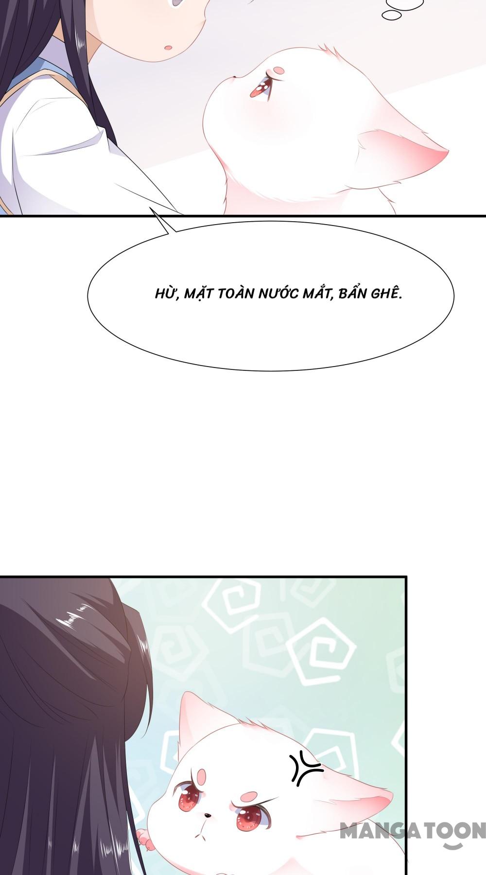 Hồ Phi Chớ Dây Vào Lửa Chapter 5 - Trang 12