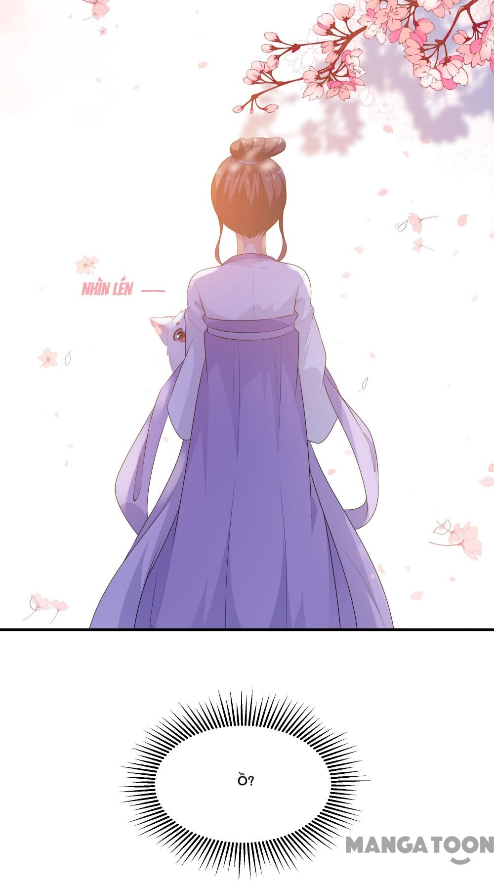 Hồ Phi Chớ Dây Vào Lửa Chapter 5 - Trang 21