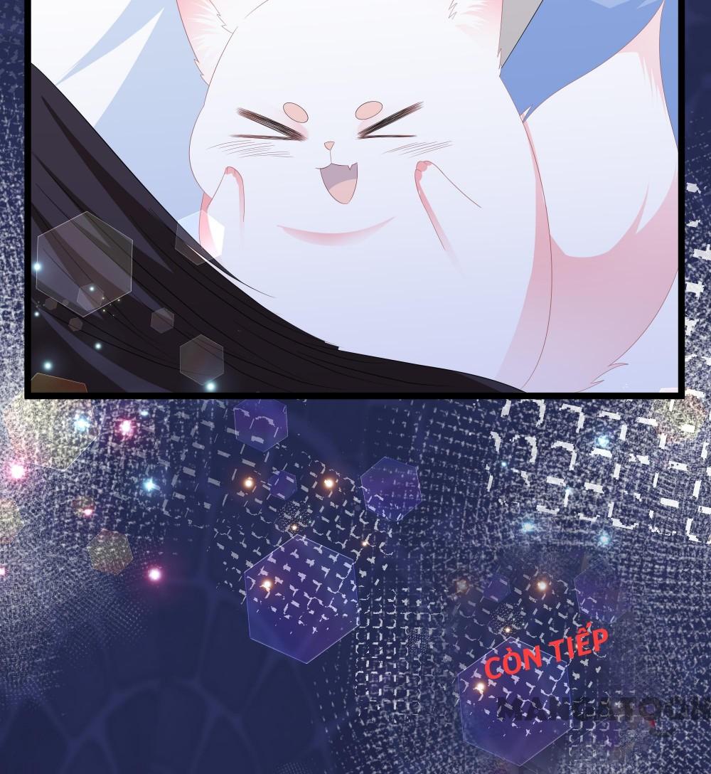 Hồ Phi Chớ Dây Vào Lửa Chapter 52 - Trang 39