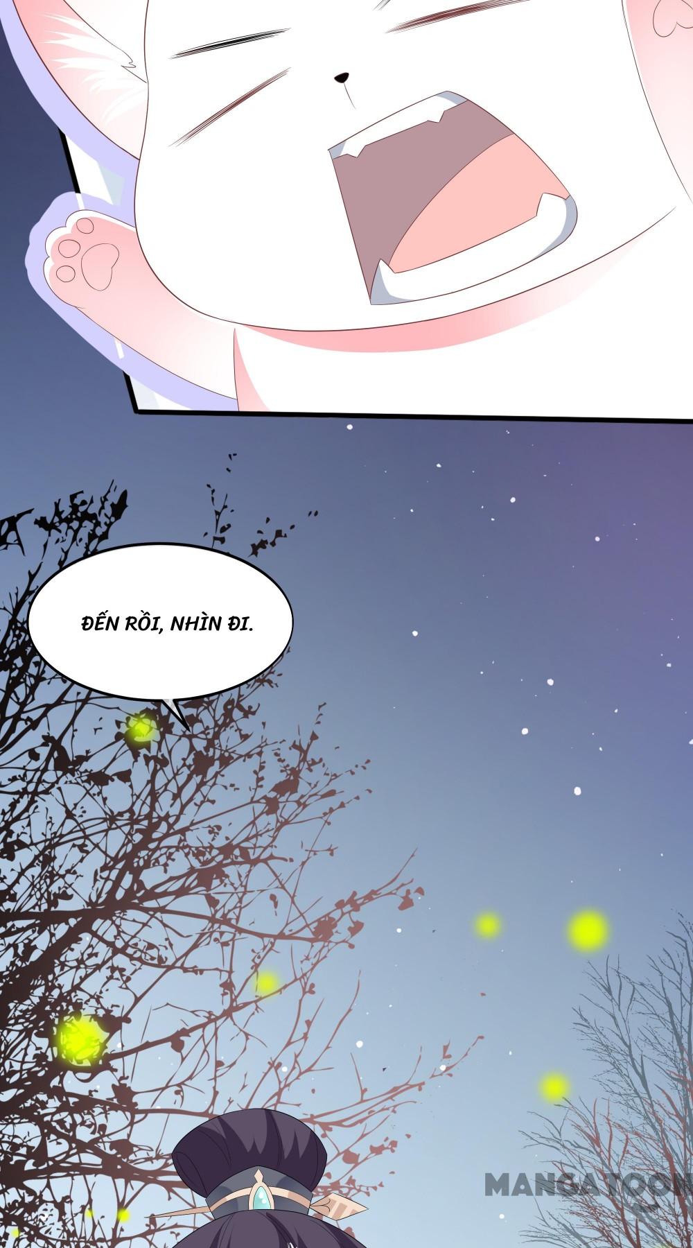 Hồ Phi Chớ Dây Vào Lửa Chapter 53 - Trang 13