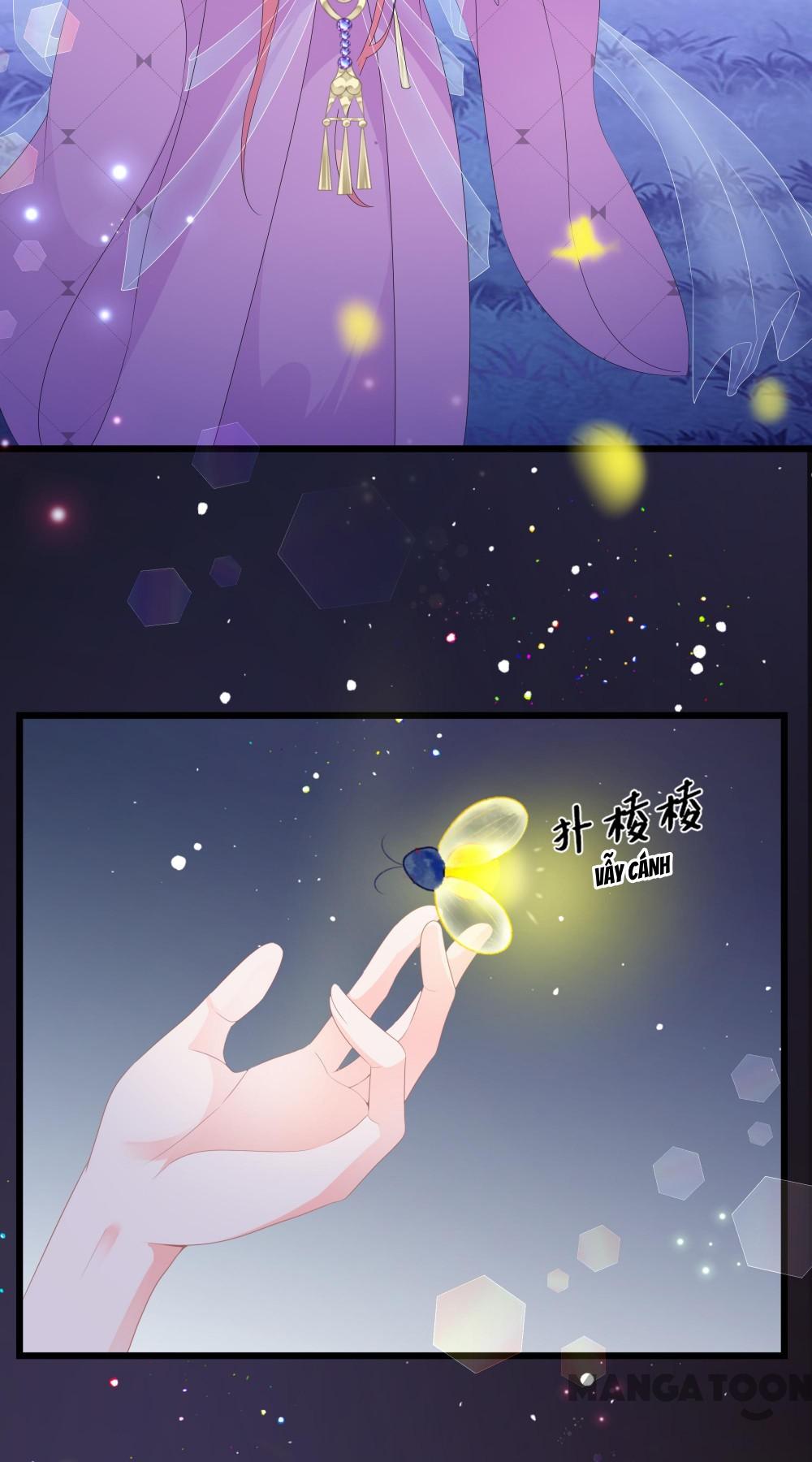 Hồ Phi Chớ Dây Vào Lửa Chapter 53 - Trang 20