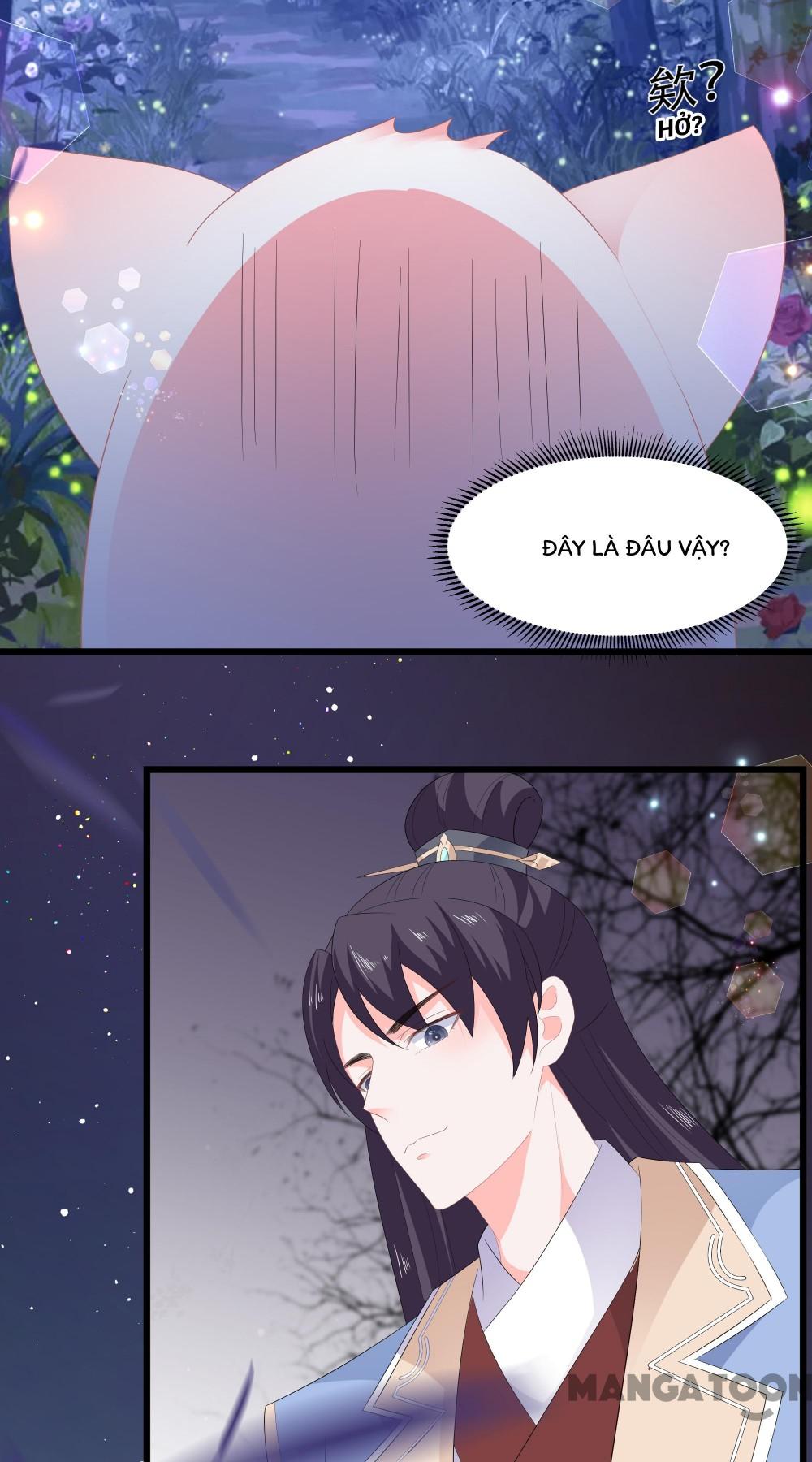 Hồ Phi Chớ Dây Vào Lửa Chapter 53 - Trang 5