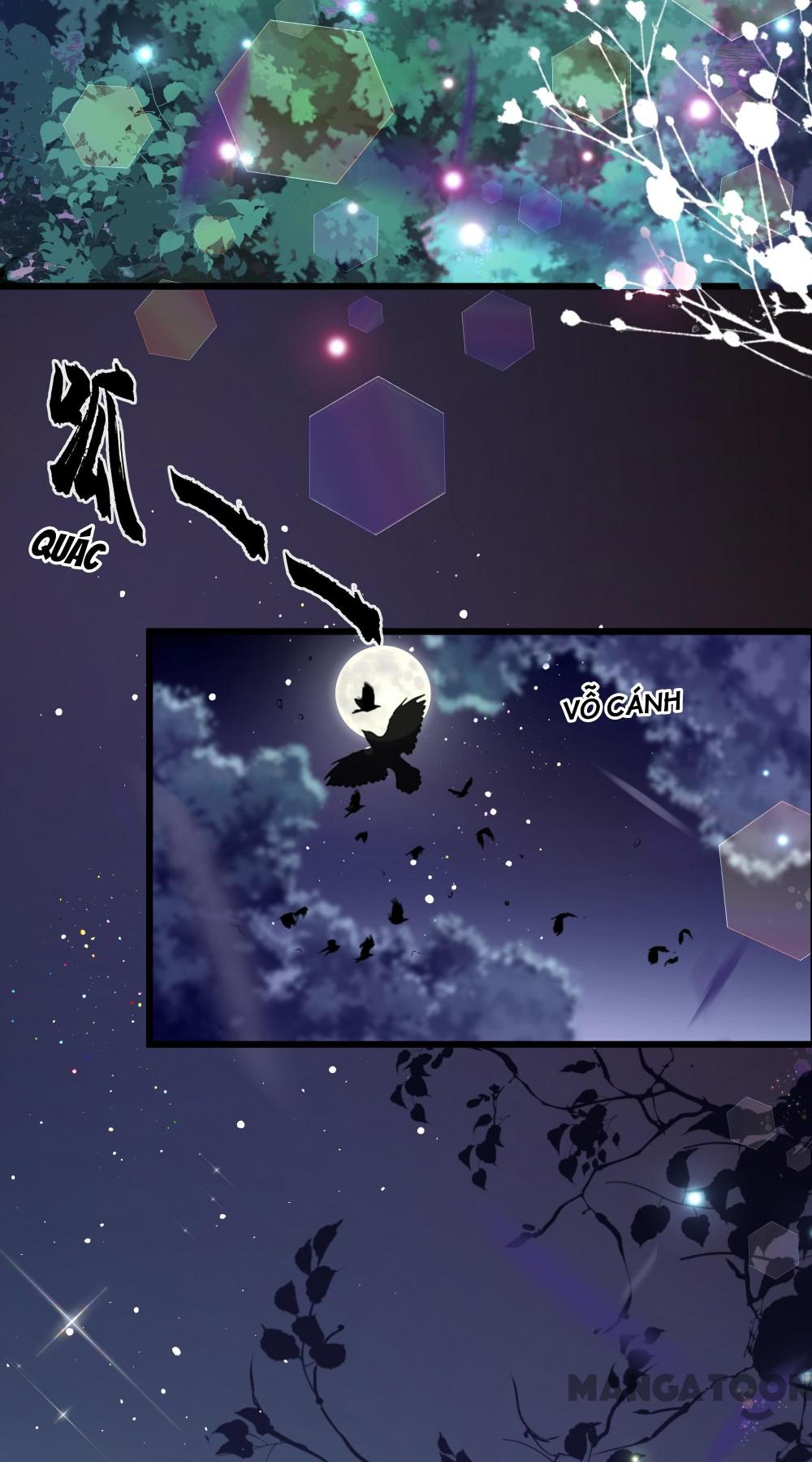 Hồ Phi Chớ Dây Vào Lửa Chapter 53 - Trang 7