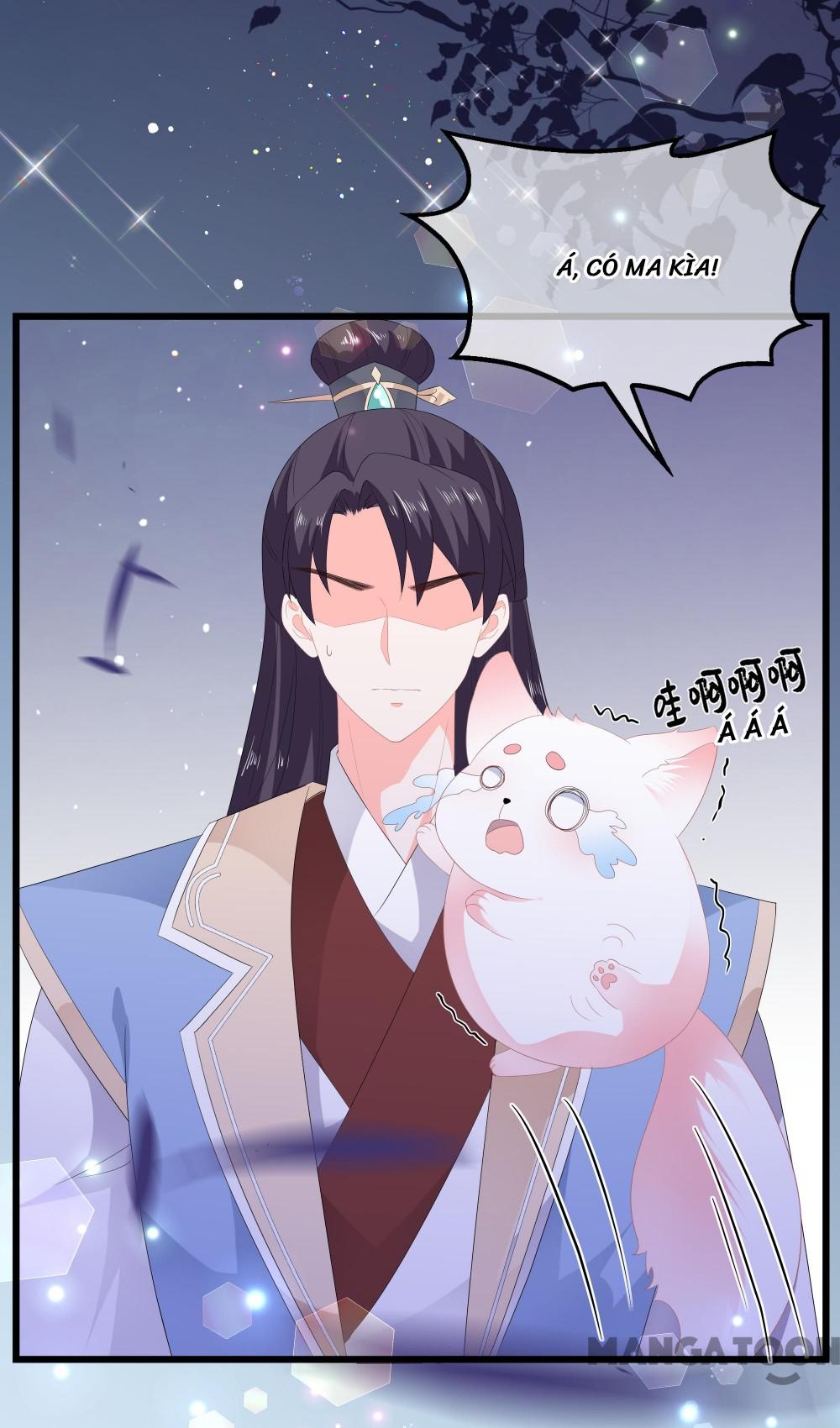 Hồ Phi Chớ Dây Vào Lửa Chapter 53 - Trang 8