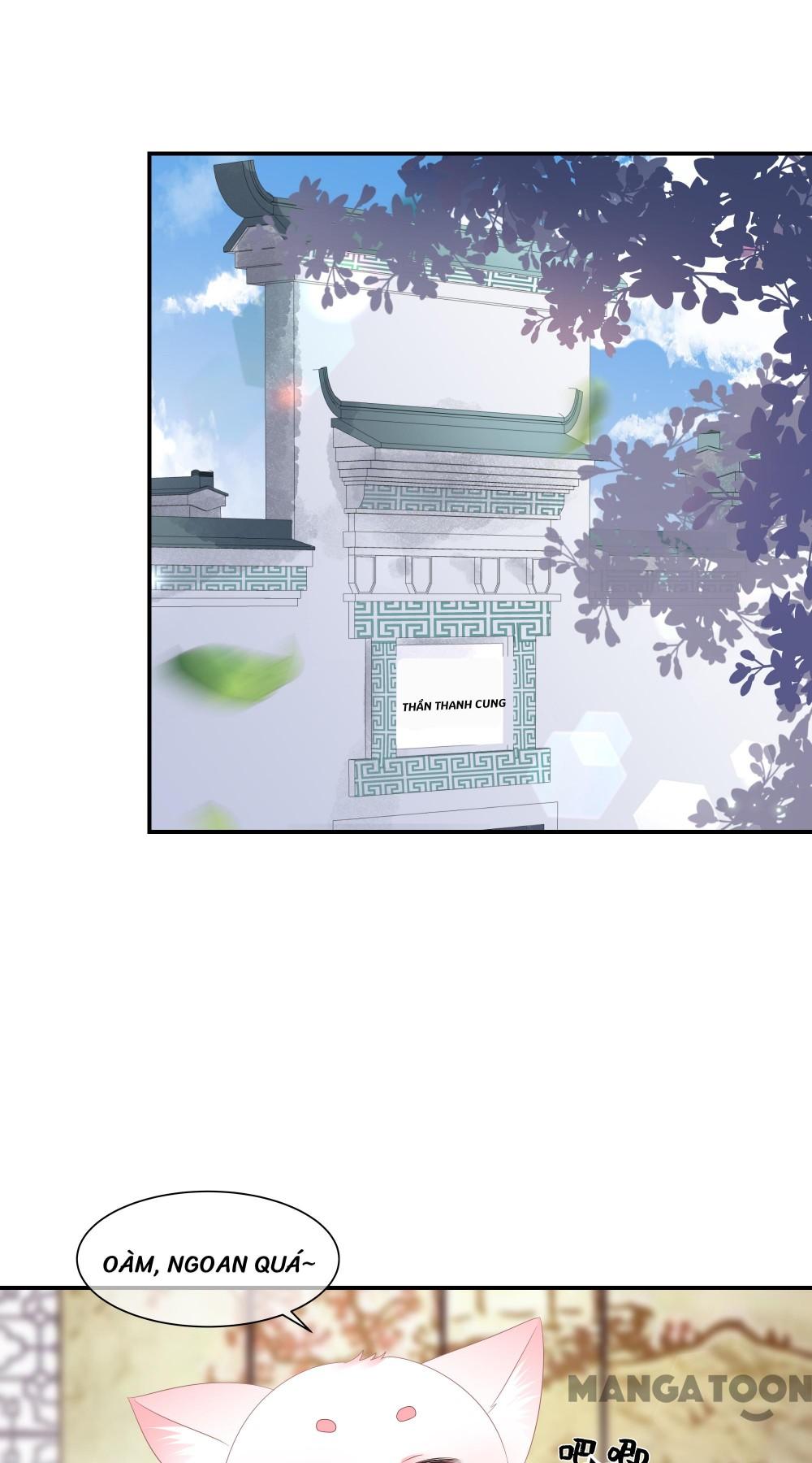 Hồ Phi Chớ Dây Vào Lửa Chapter 55 - Trang 20