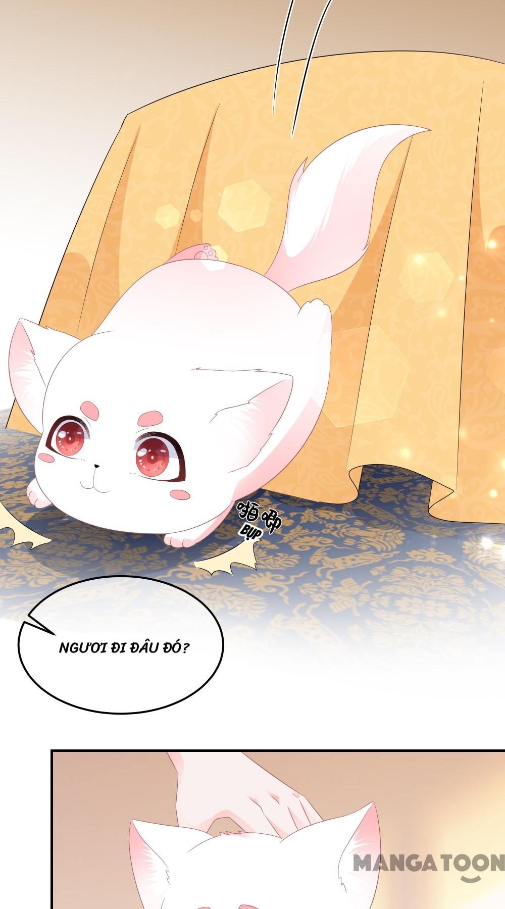 Hồ Phi Chớ Dây Vào Lửa Chapter 55 - Trang 22