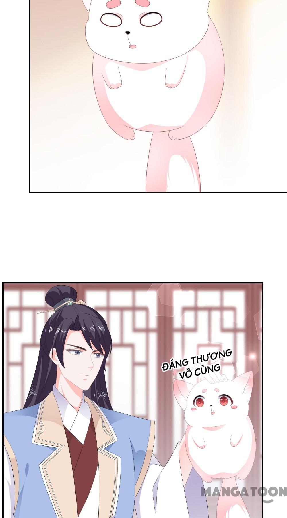 Hồ Phi Chớ Dây Vào Lửa Chapter 55 - Trang 23