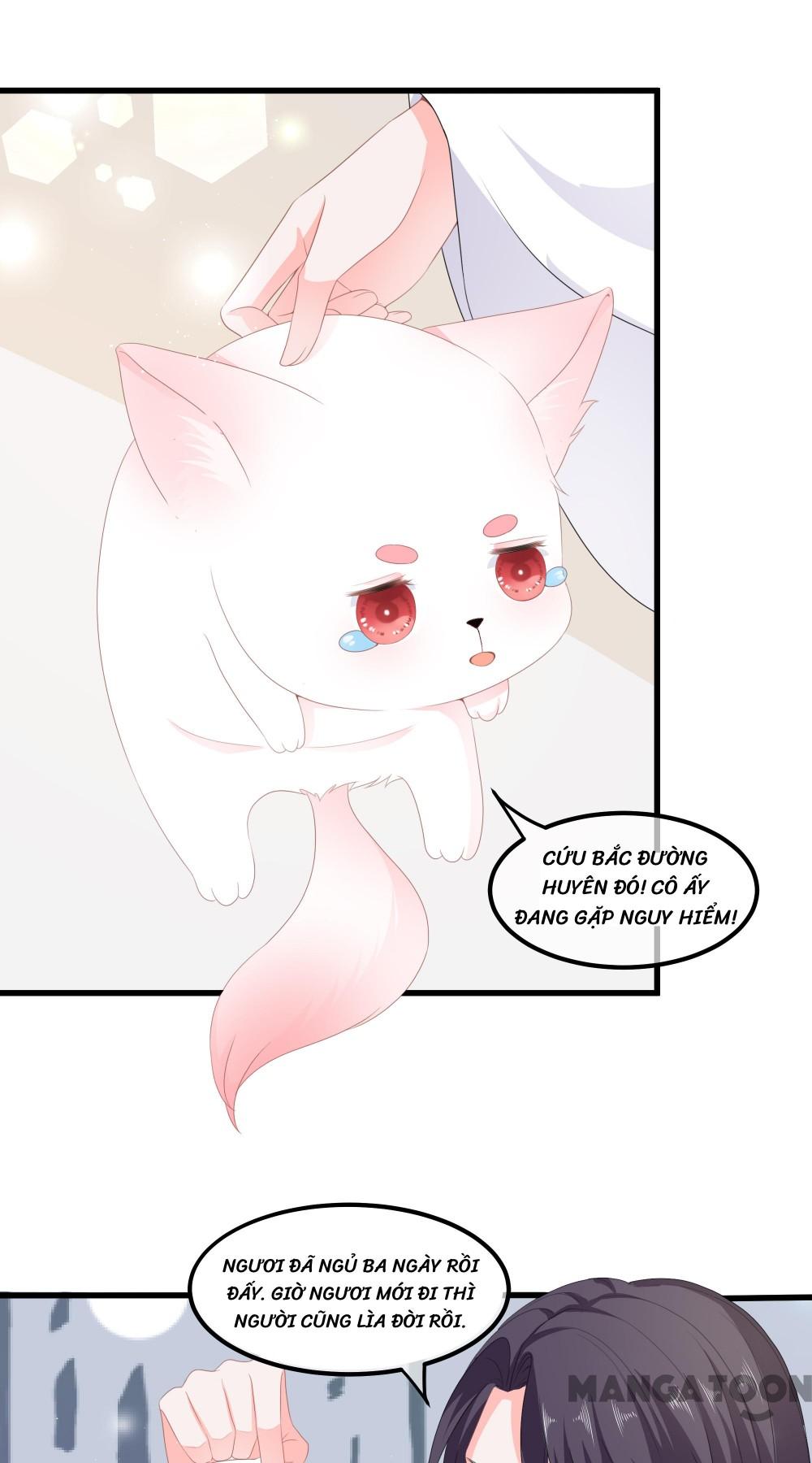 Hồ Phi Chớ Dây Vào Lửa Chapter 58 - Trang 3