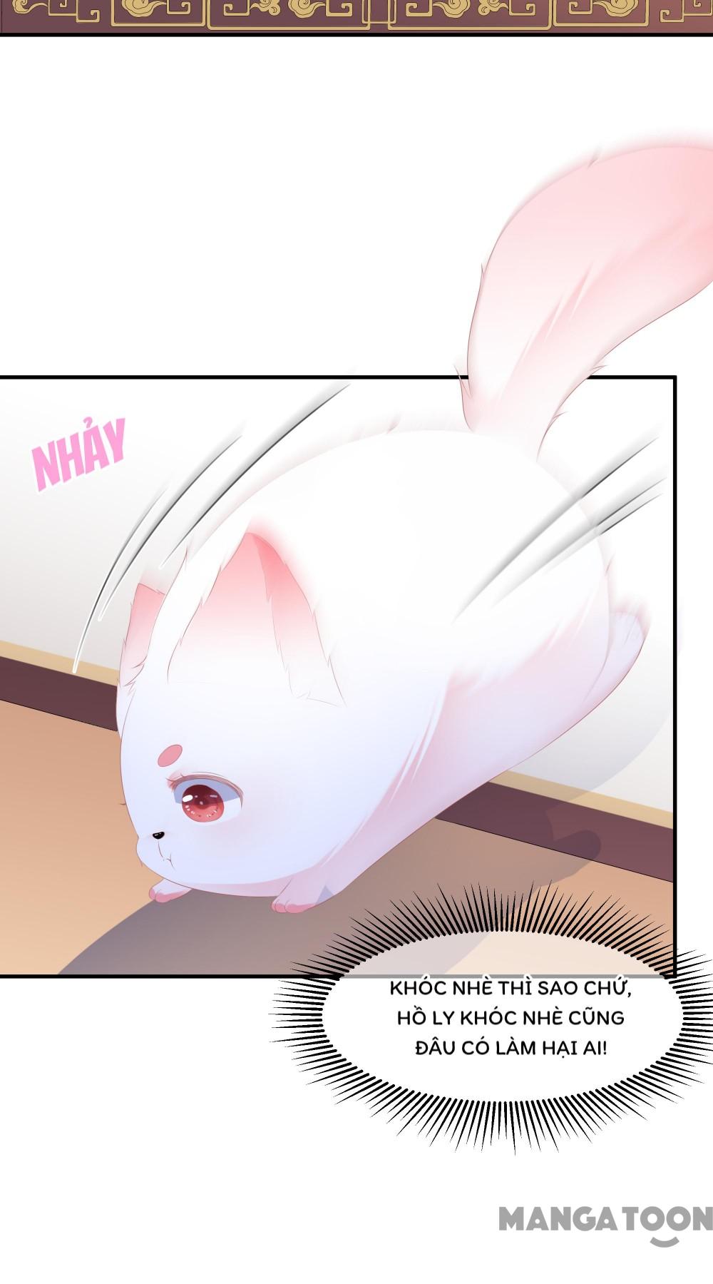 Hồ Phi Chớ Dây Vào Lửa Chapter 6 - Trang 14