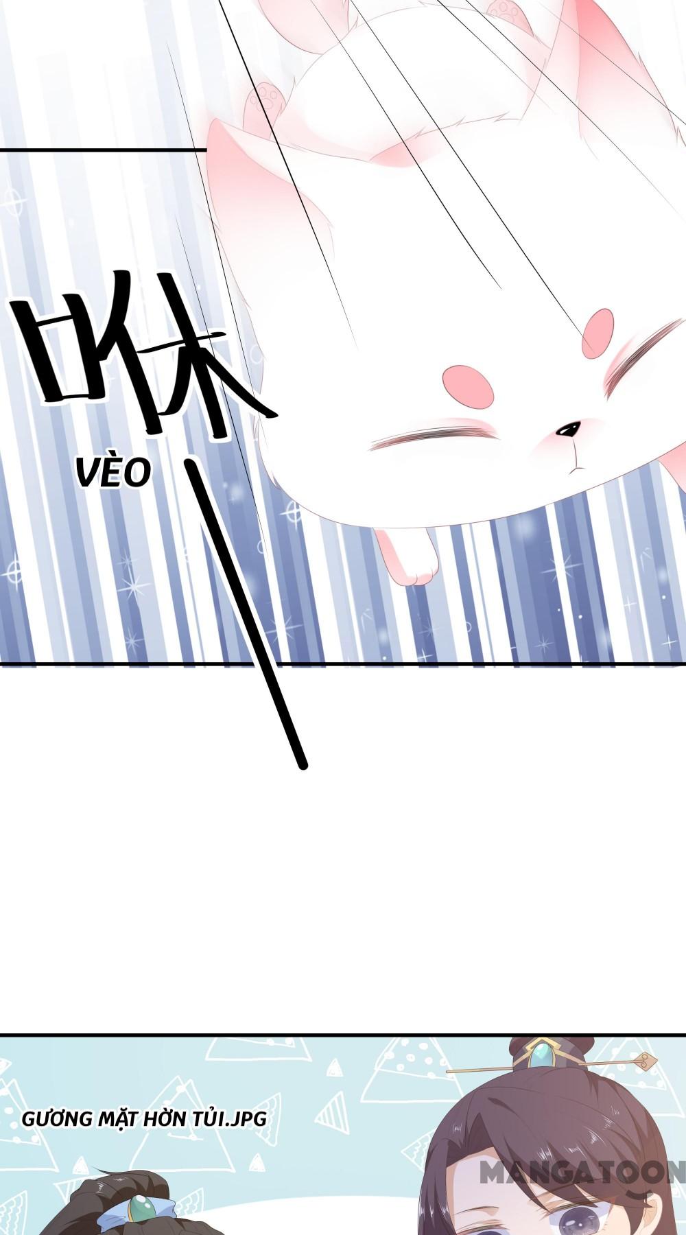 Hồ Phi Chớ Dây Vào Lửa Chapter 6 - Trang 18