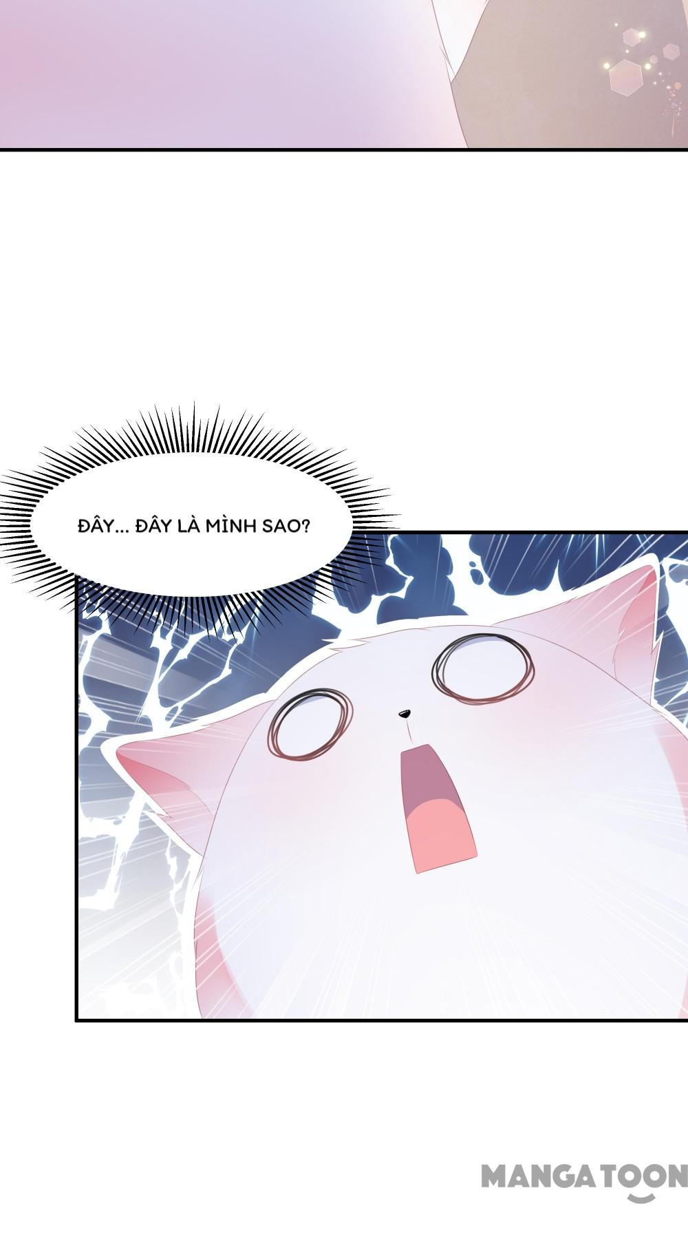 Hồ Phi Chớ Dây Vào Lửa Chapter 6 - Trang 21
