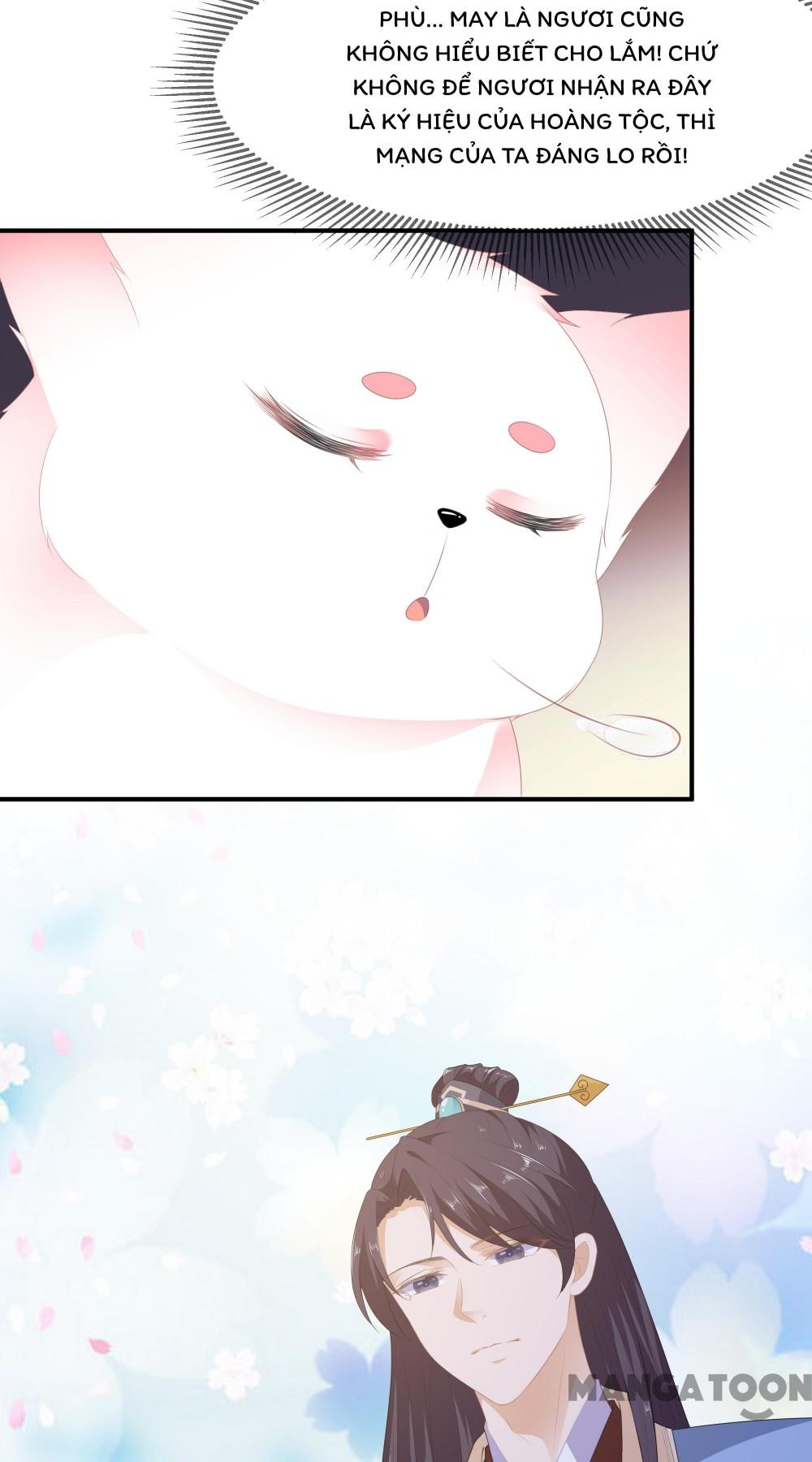 Hồ Phi Chớ Dây Vào Lửa Chapter 6 - Trang 31